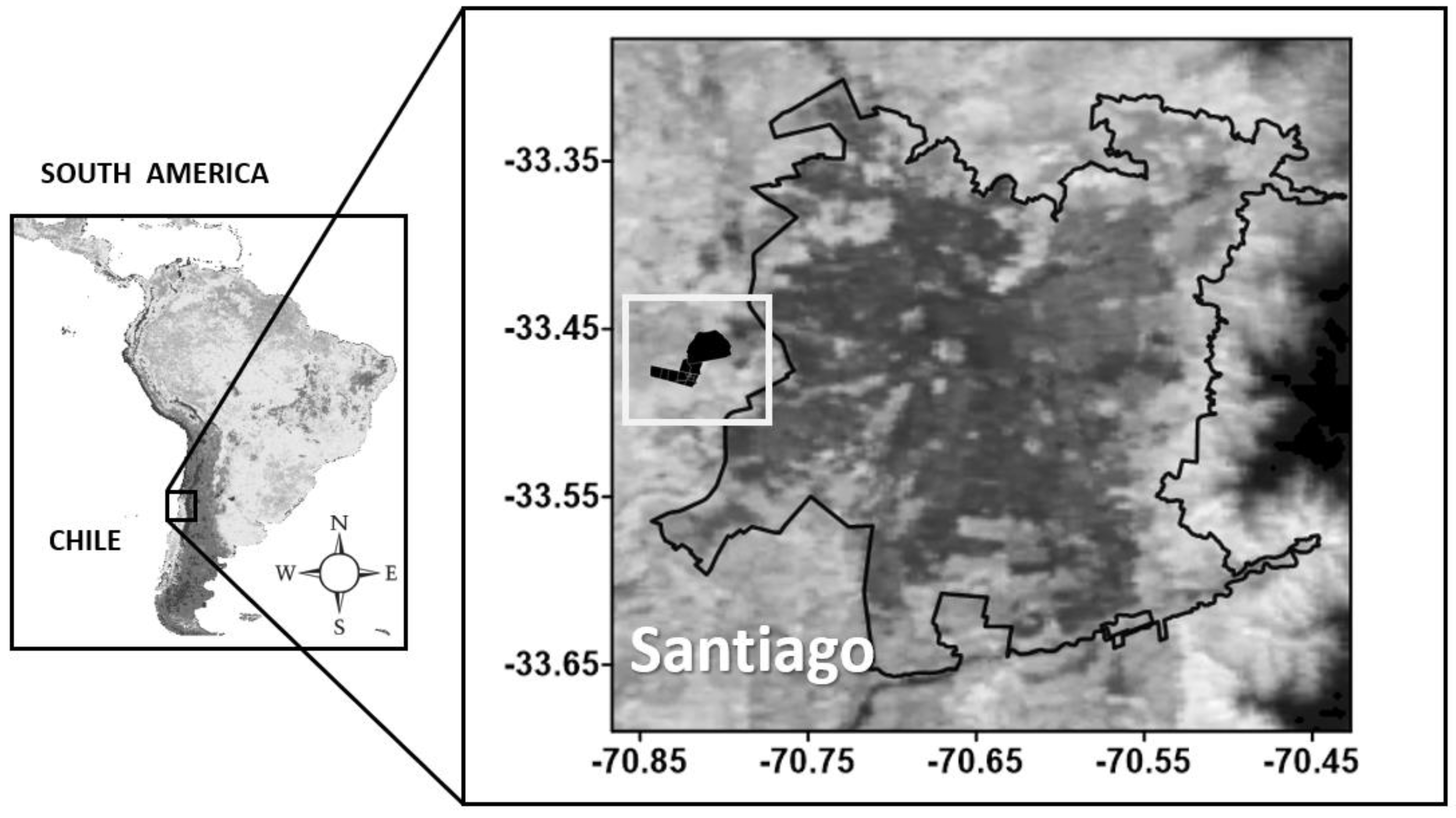 Animals 12 03159 g001