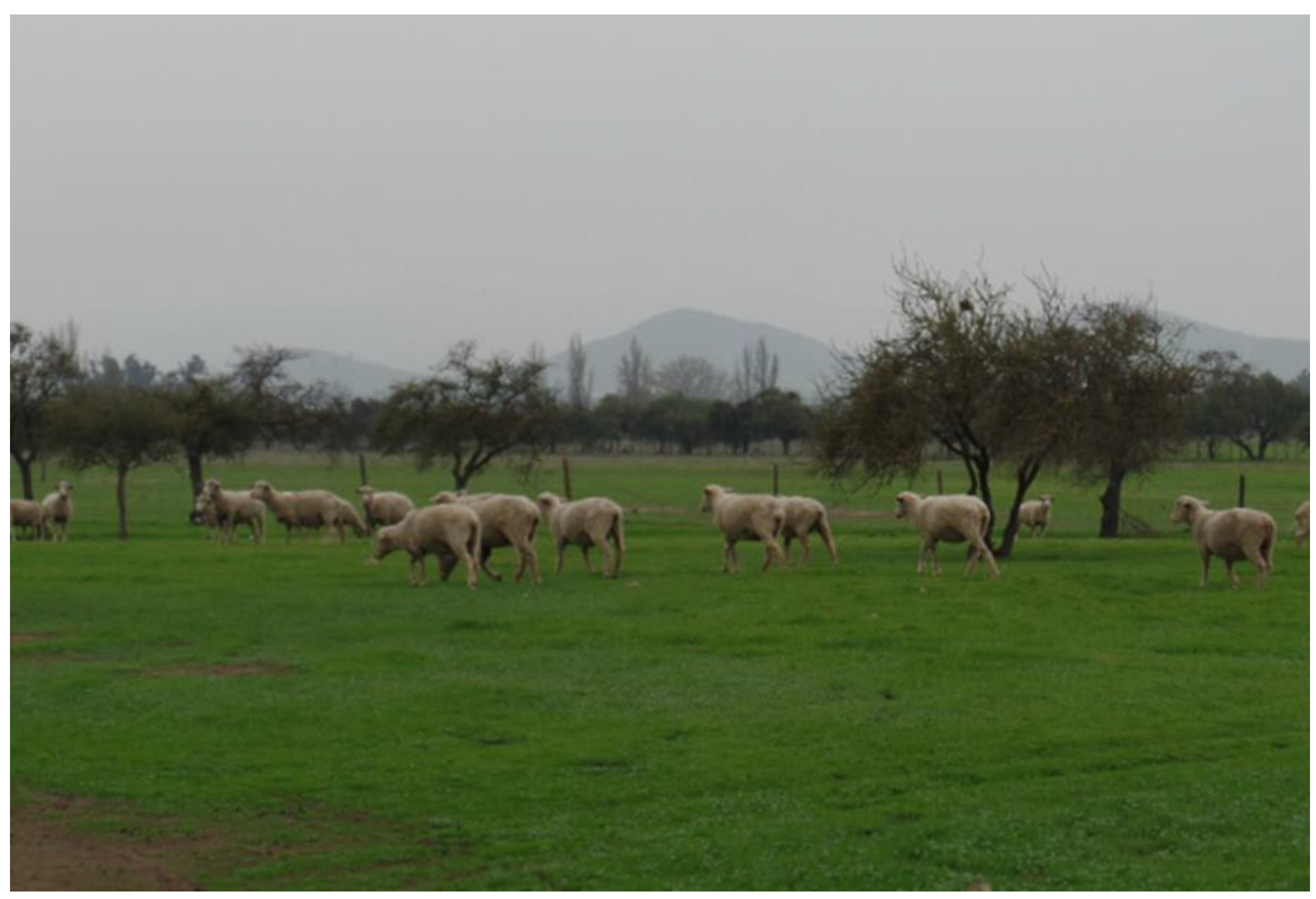 Animals 12 03159 g002