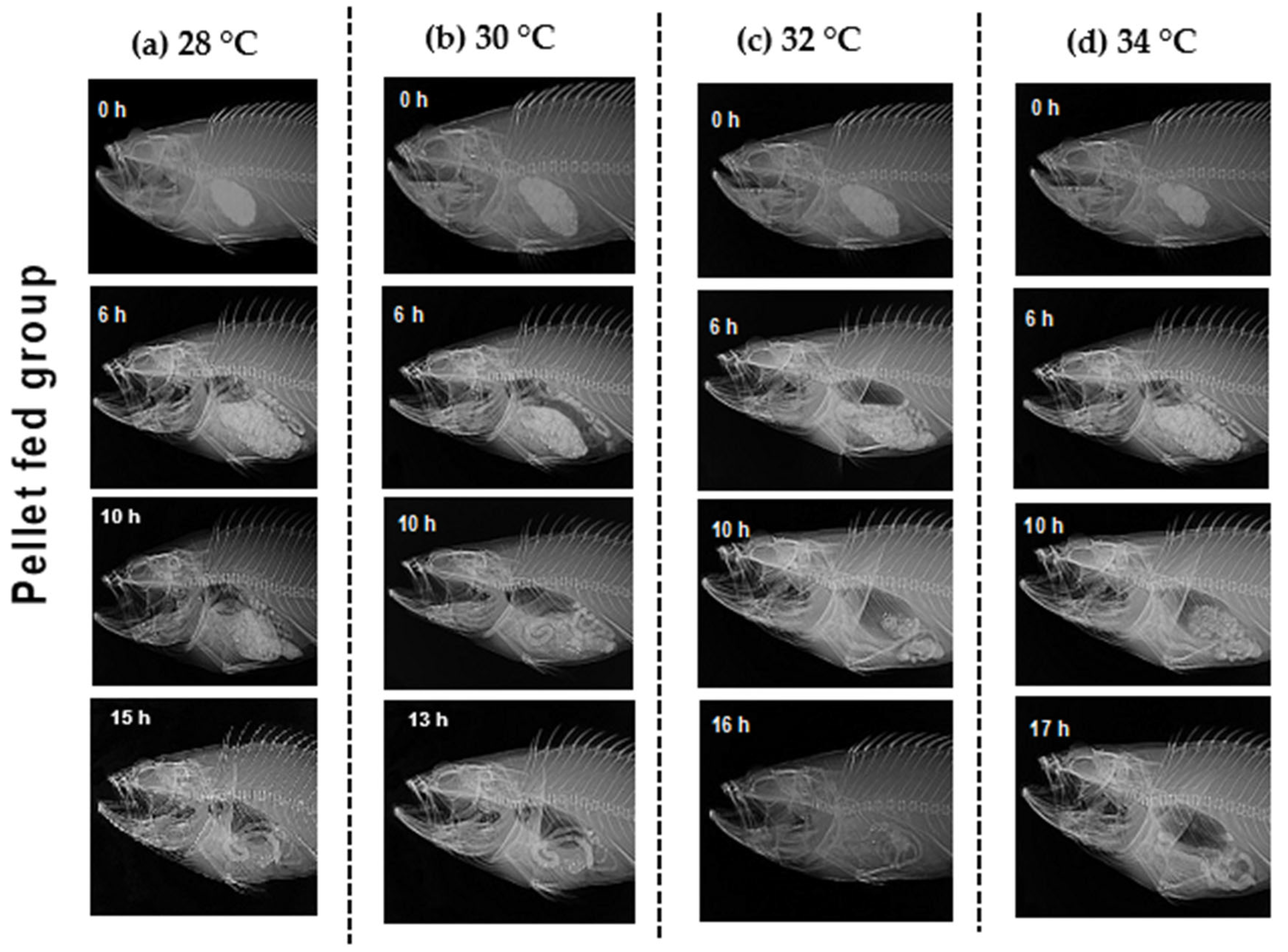 Animals 12 03172 g005 Animals 12 03172 g005