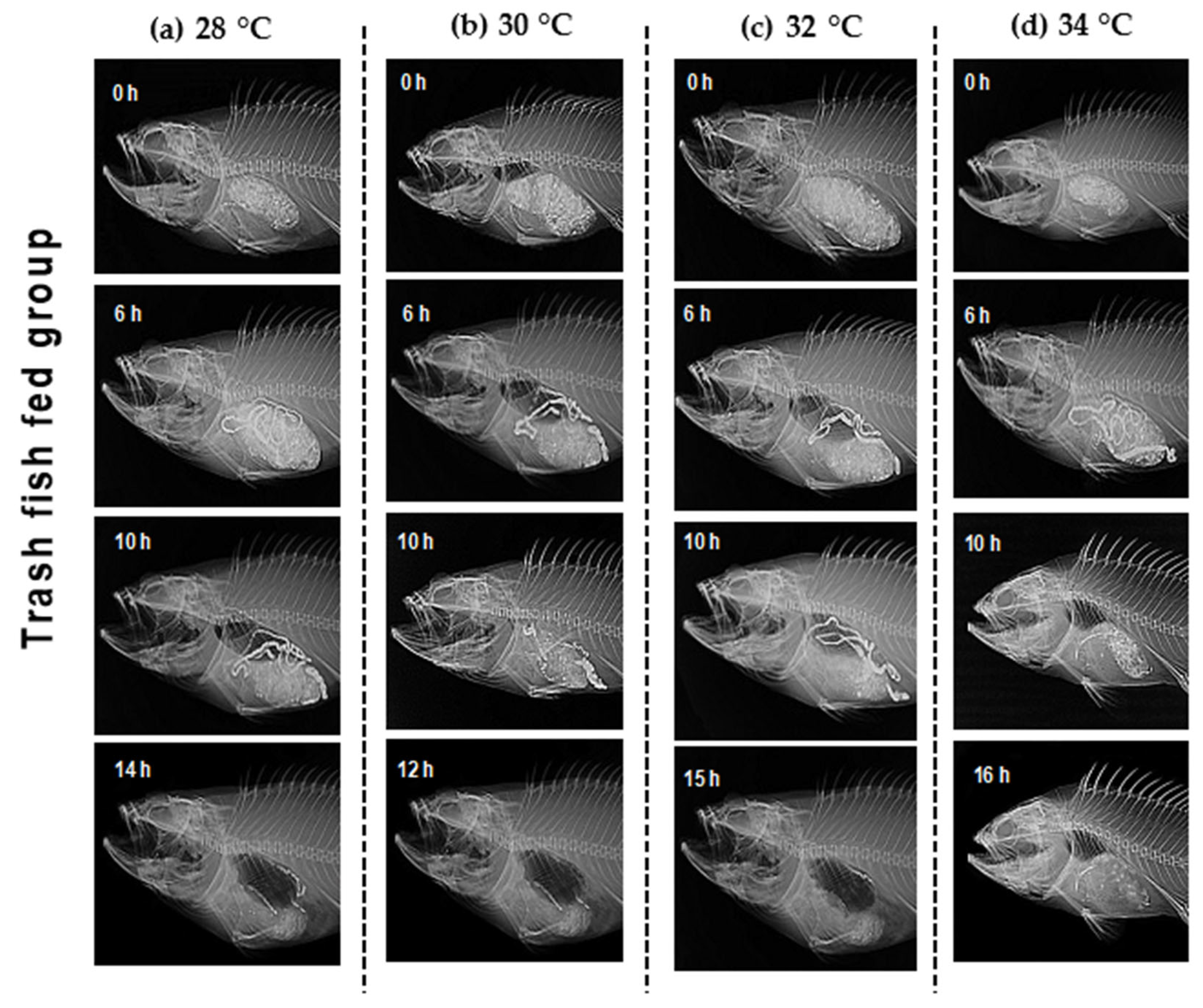 Animals 12 03172 g006 Animals 12 03172 g006