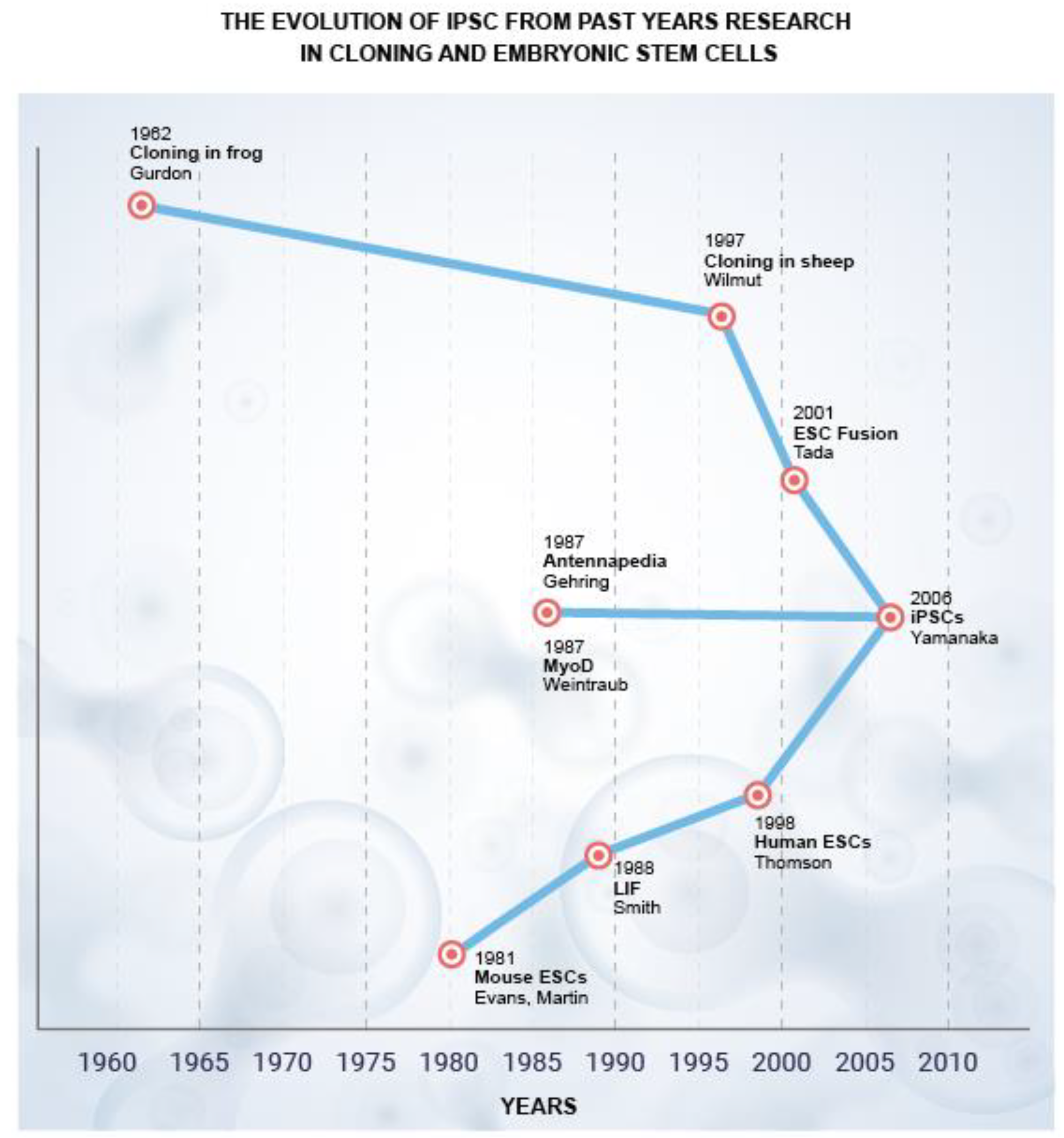 Animals 12 03187 g001