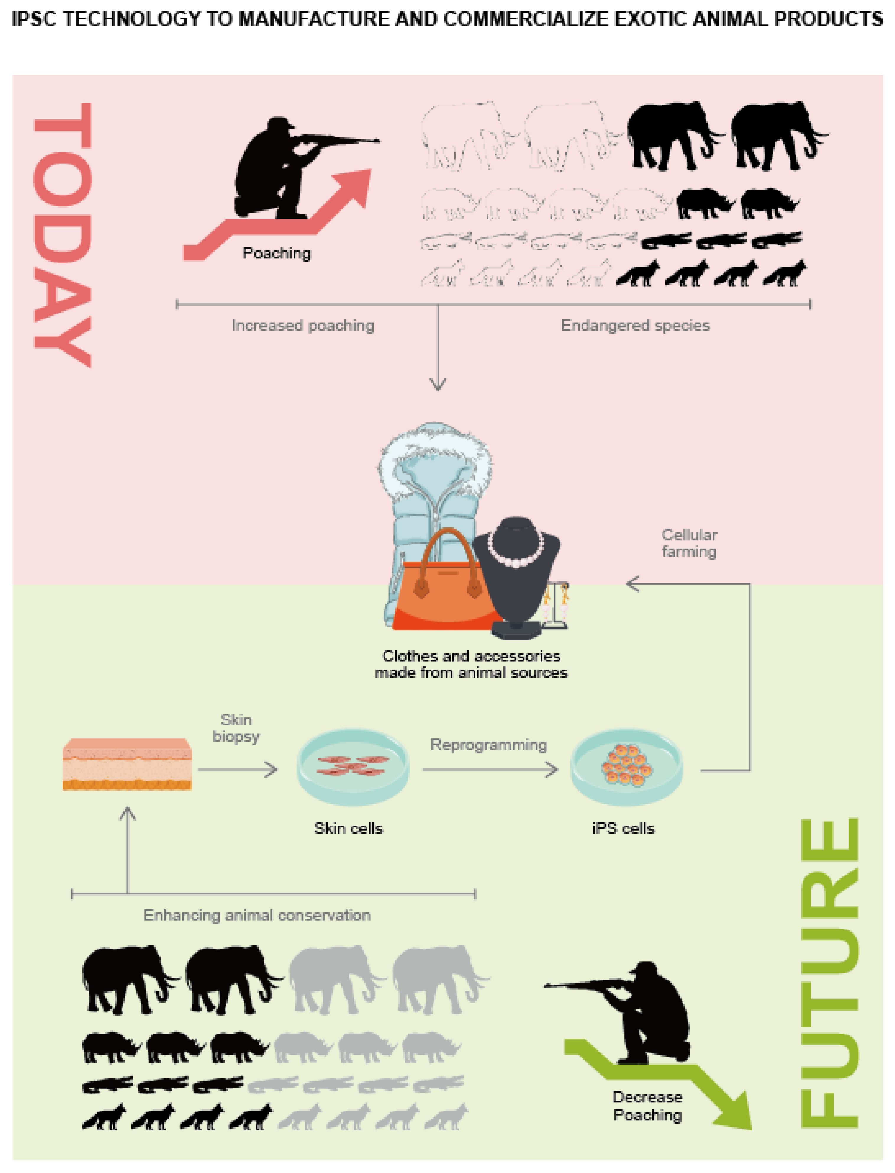 Animals 12 03187 g002