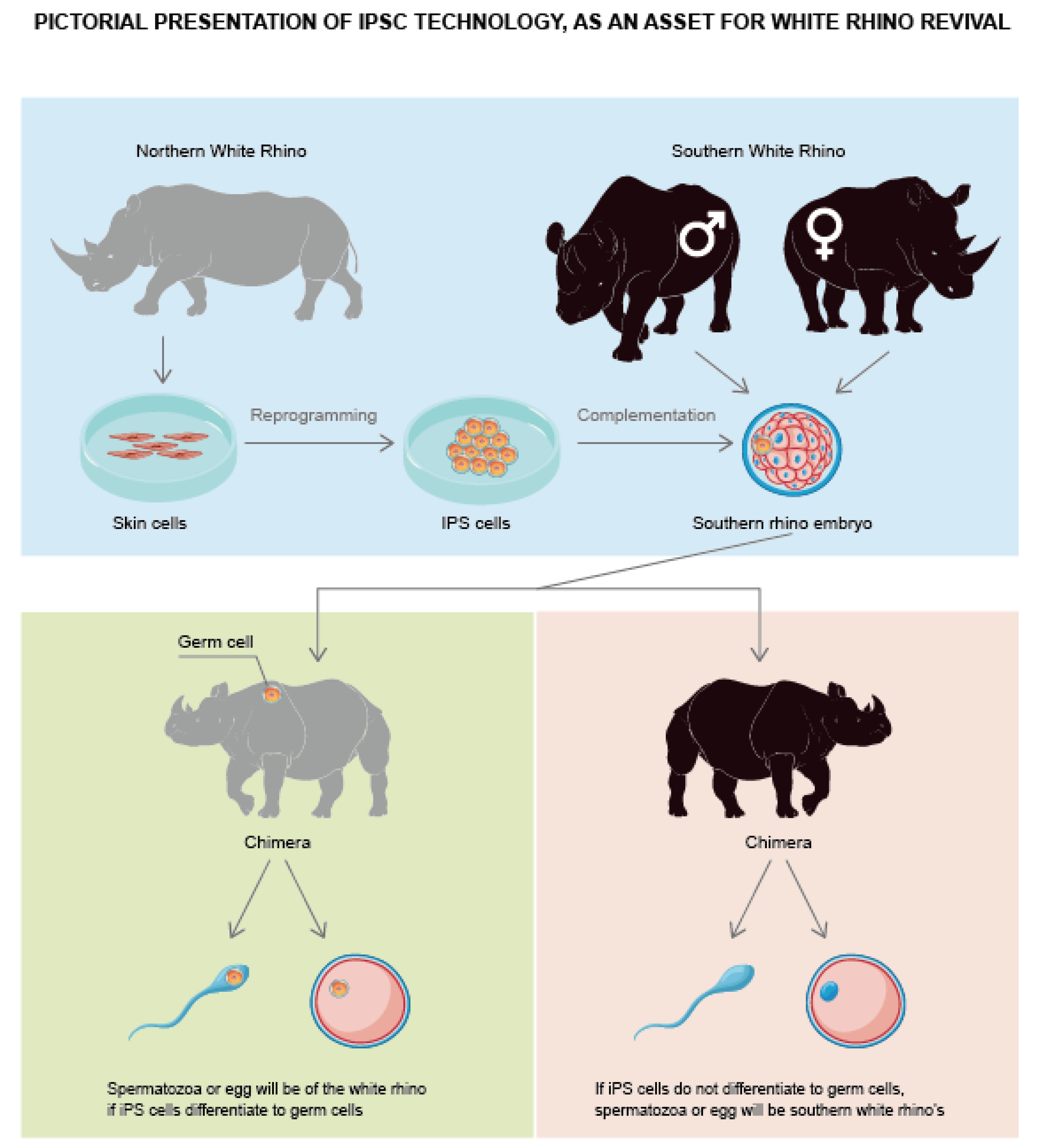 Animals 12 03187 g005