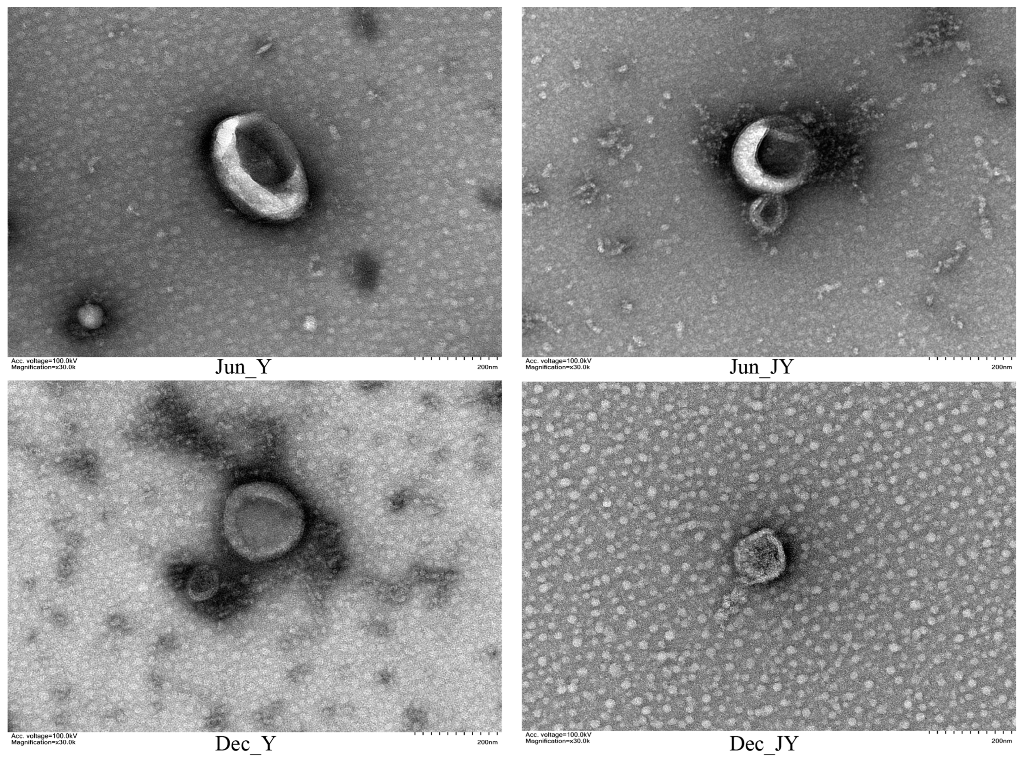 Animals 12 03189 g001