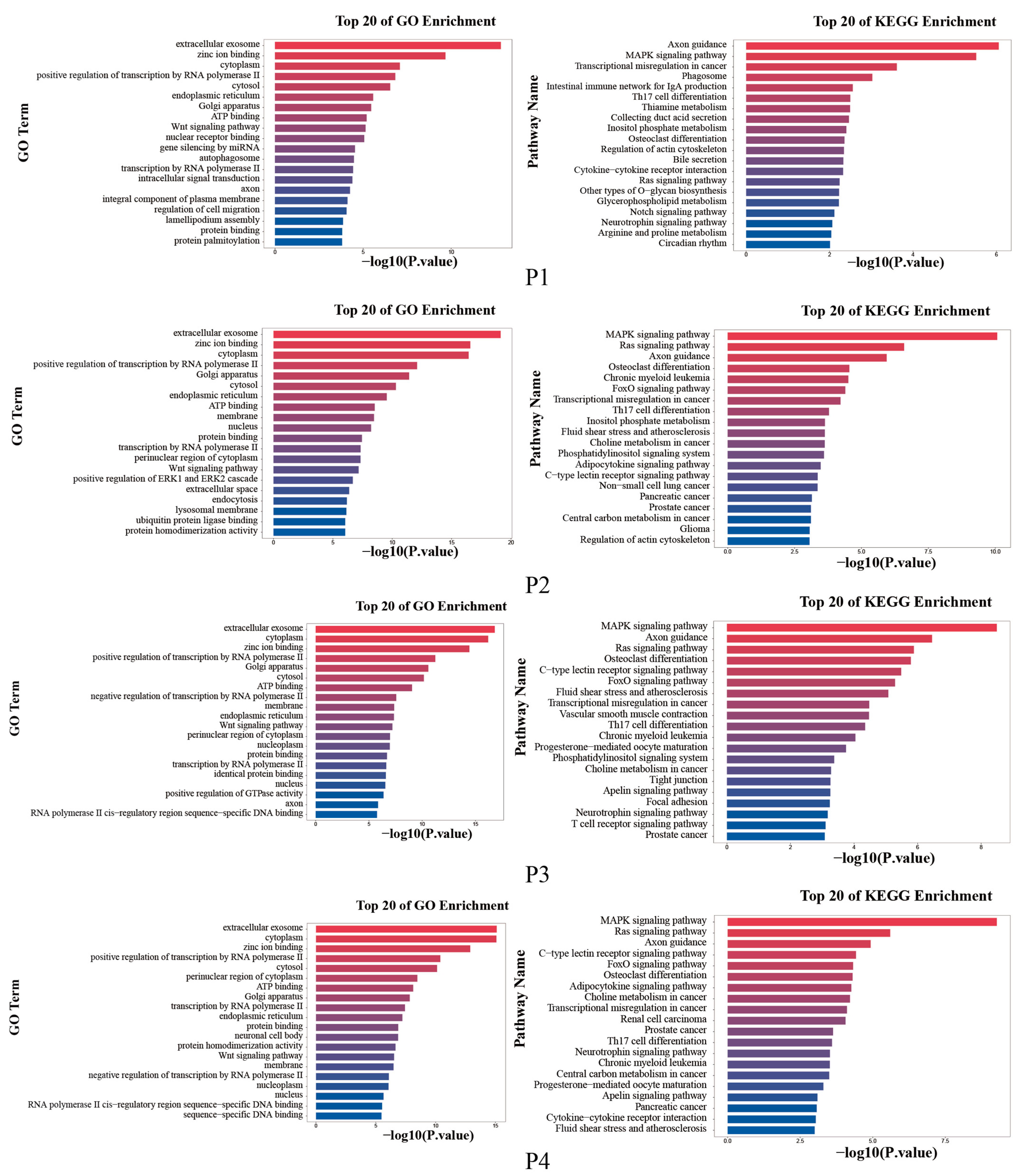 Animals 12 03189 g004