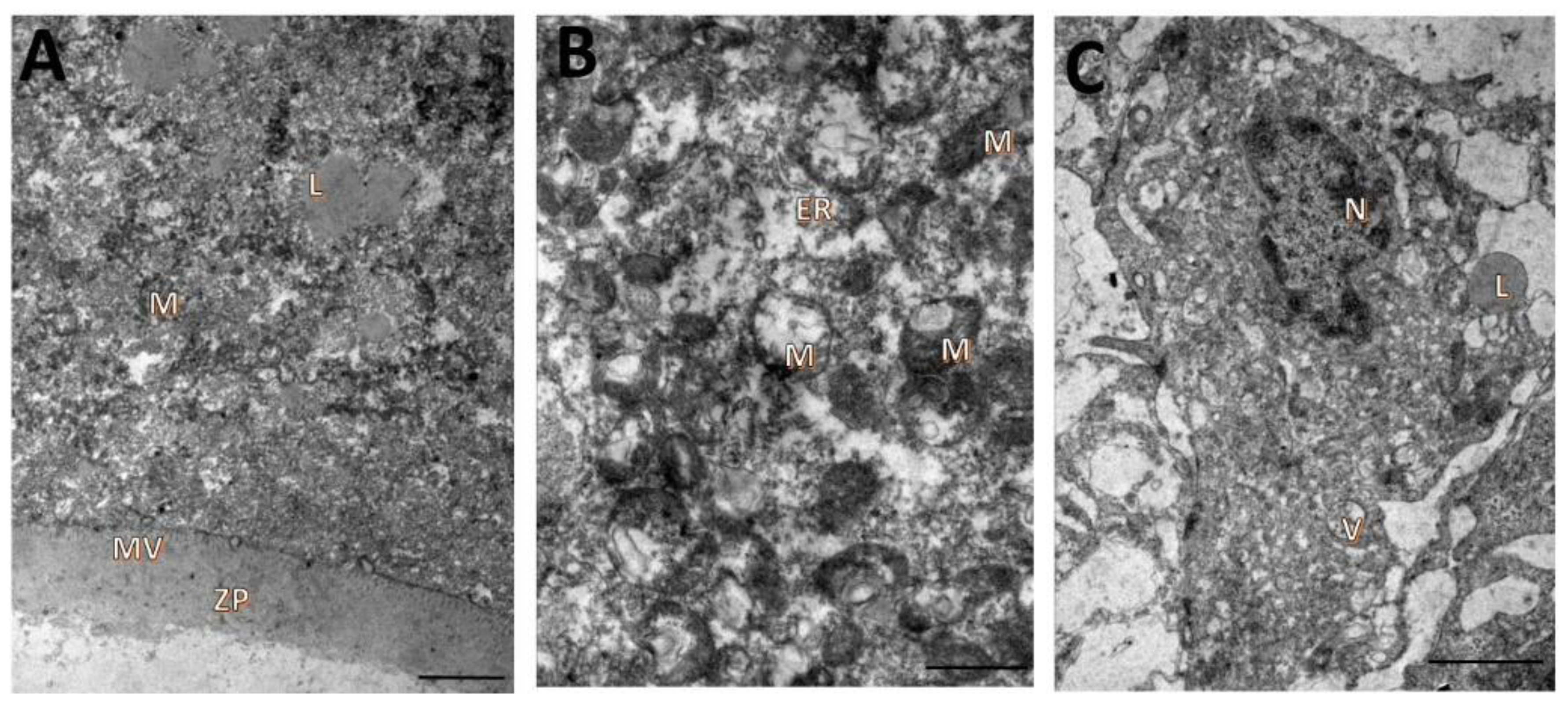 Animals 12 03190 g002 Animals 12 03190 g002