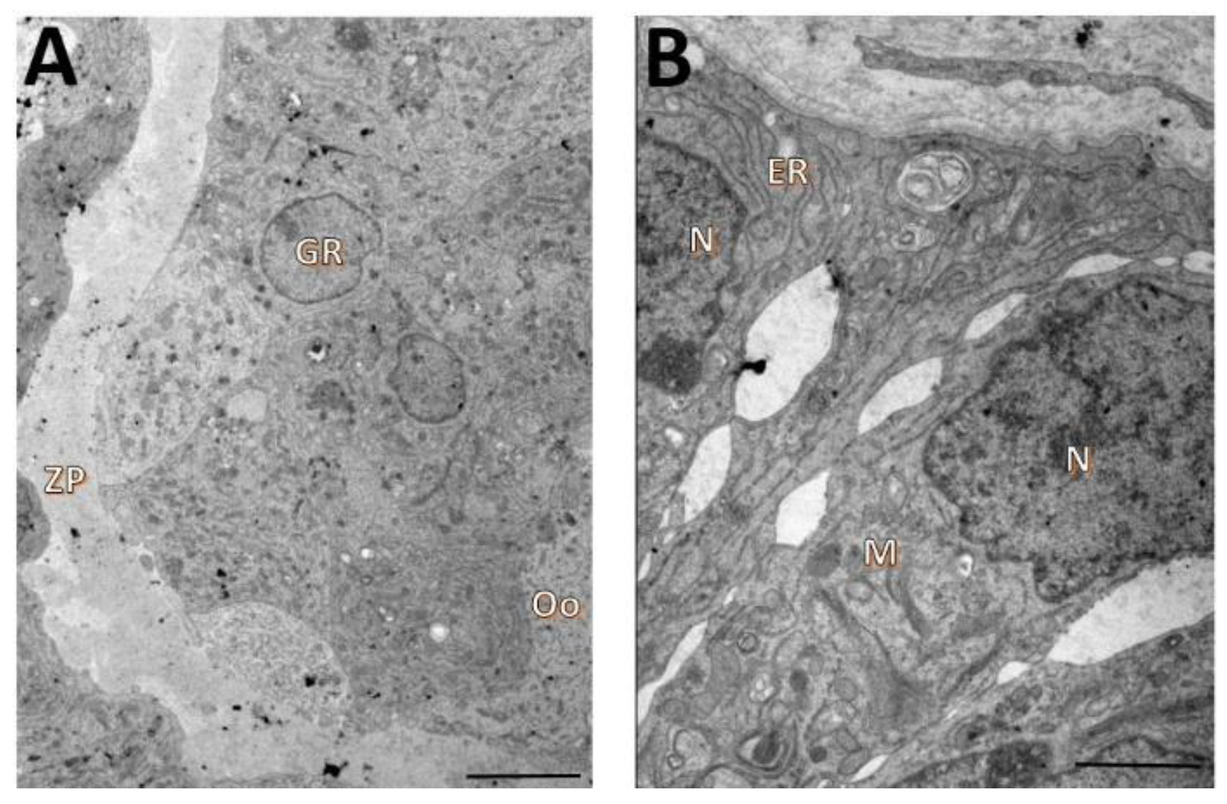 Animals 12 03190 g005 Animals 12 03190 g005