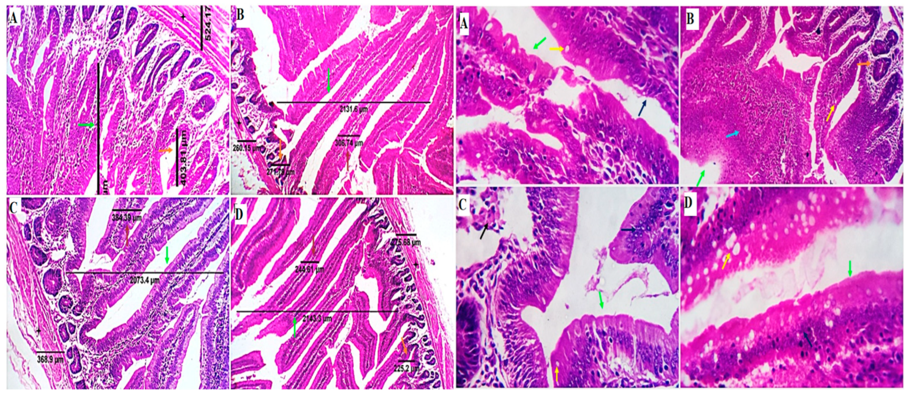 Animals 12 03197 g002