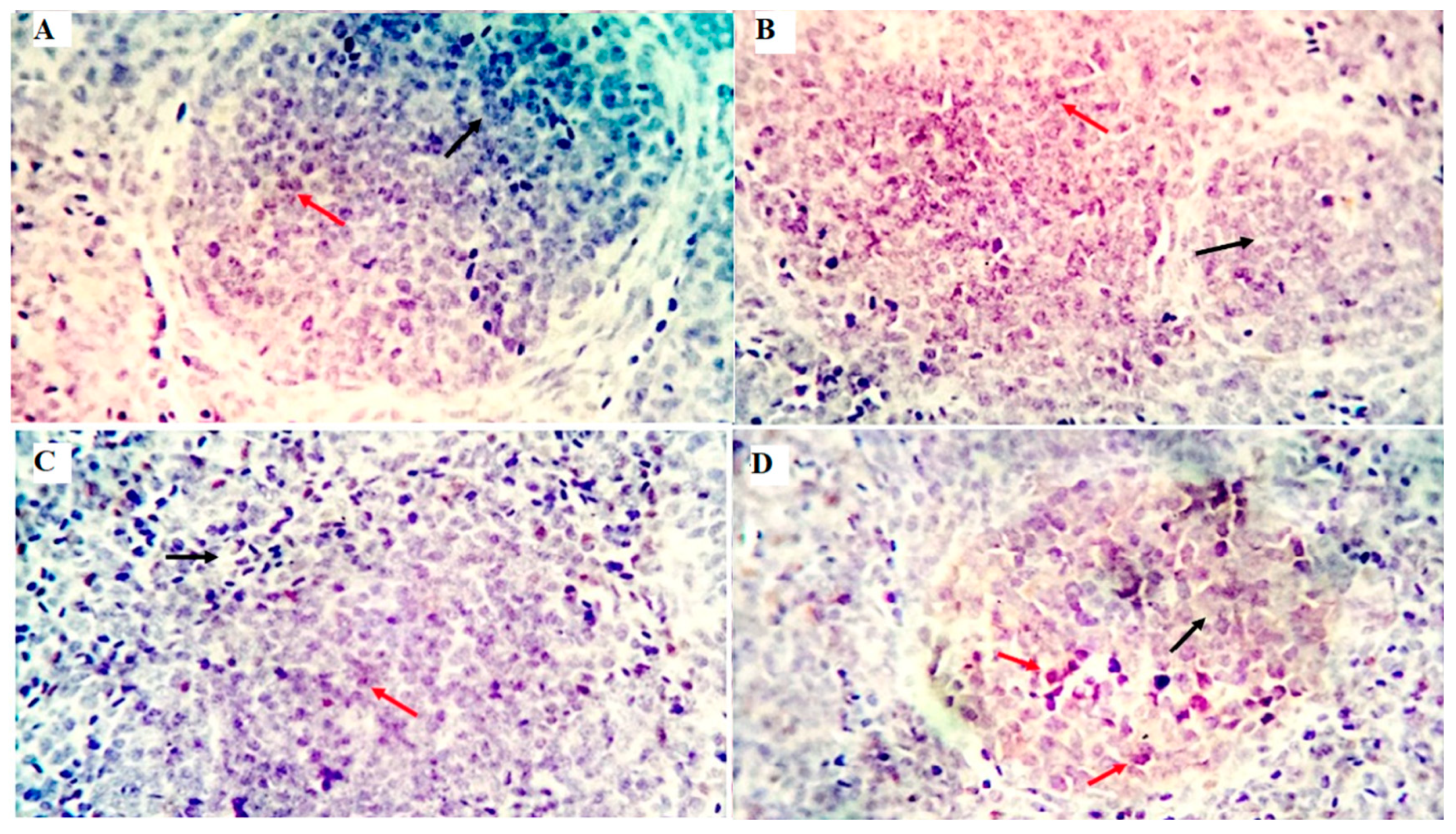 Animals 12 03197 g003