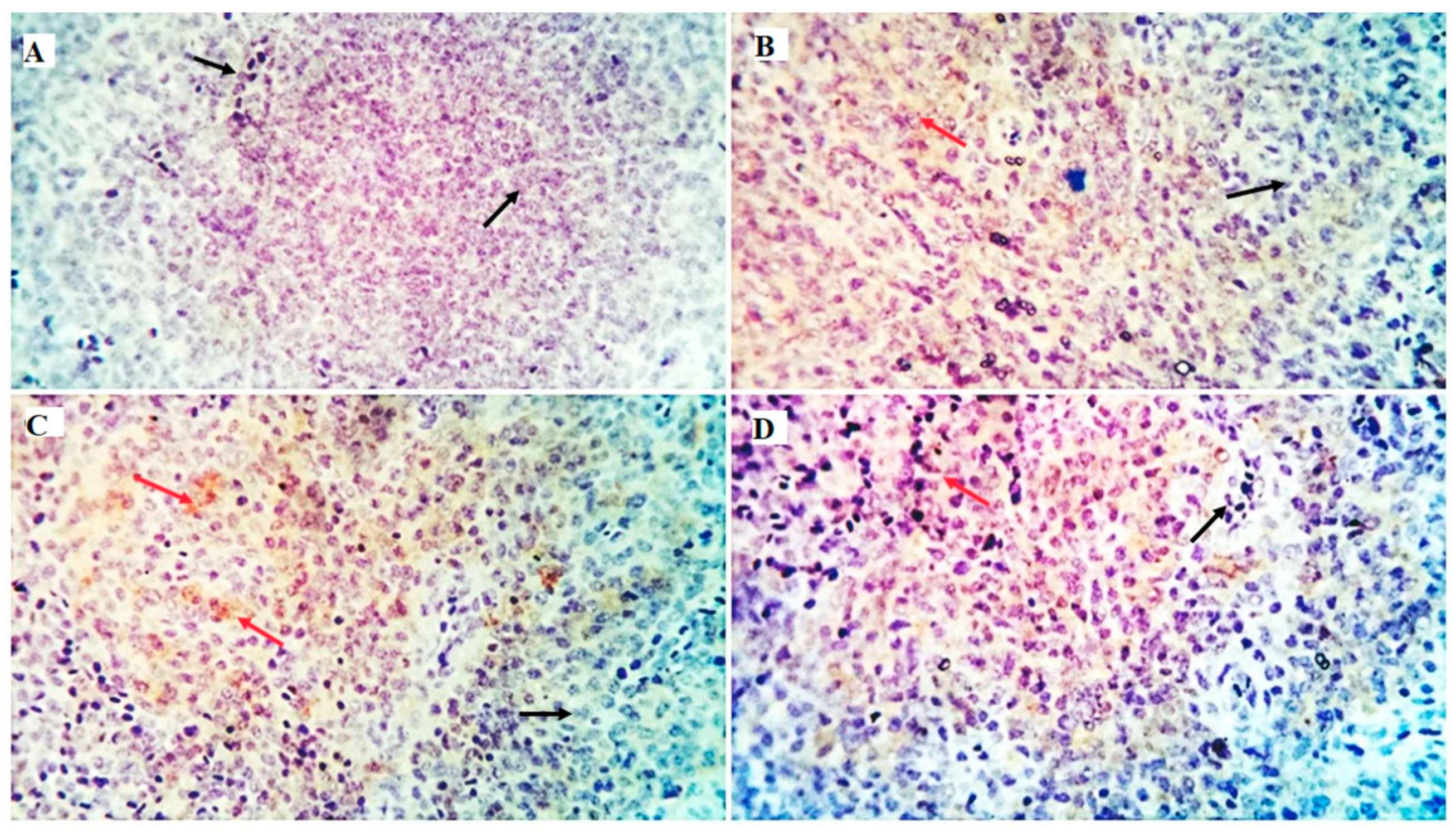 Animals 12 03197 g005