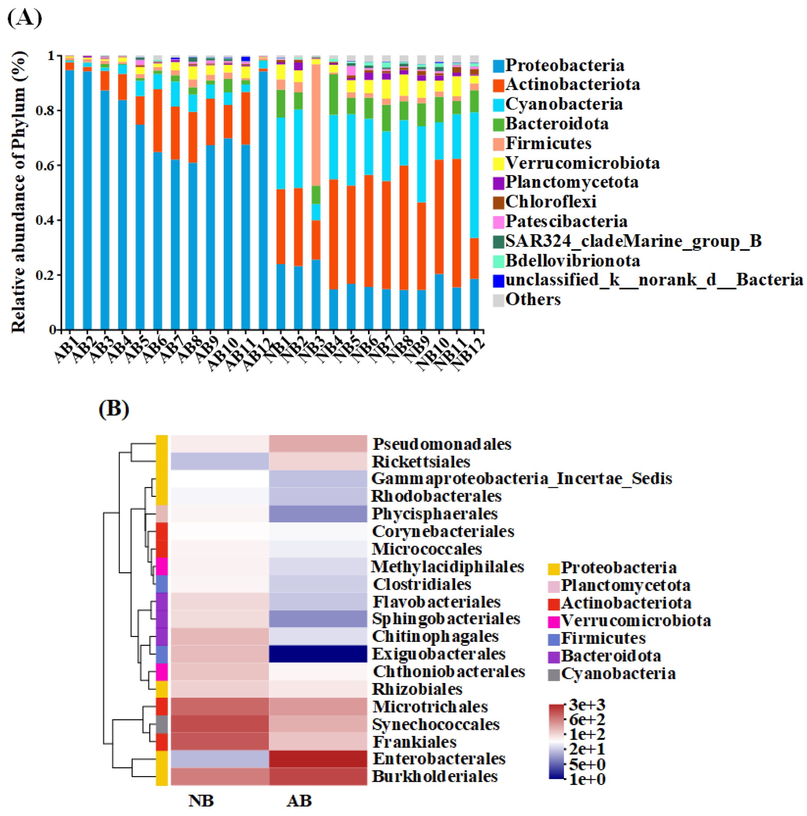 Animals 12 03201 g002