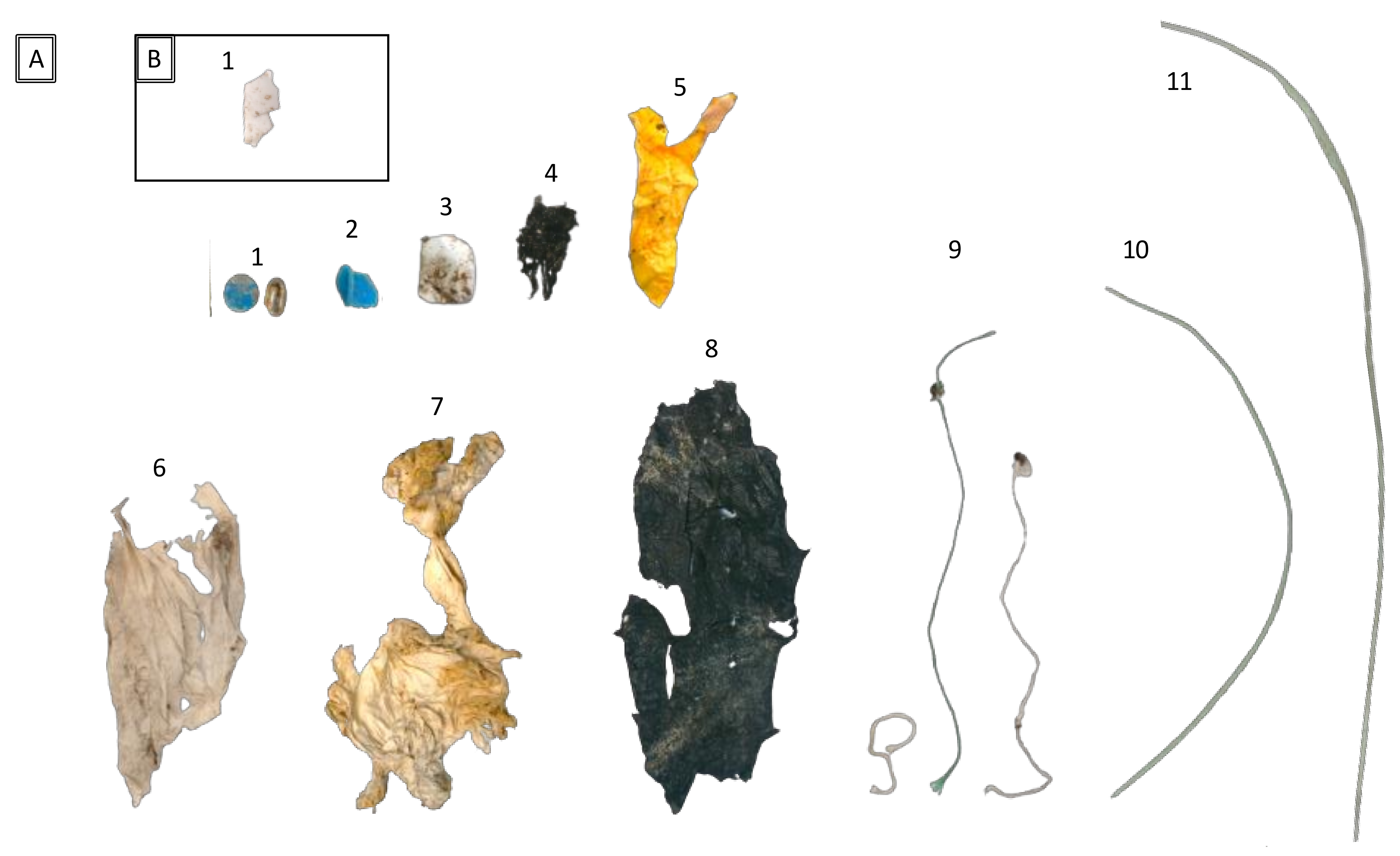 Animals 12 03222 g002