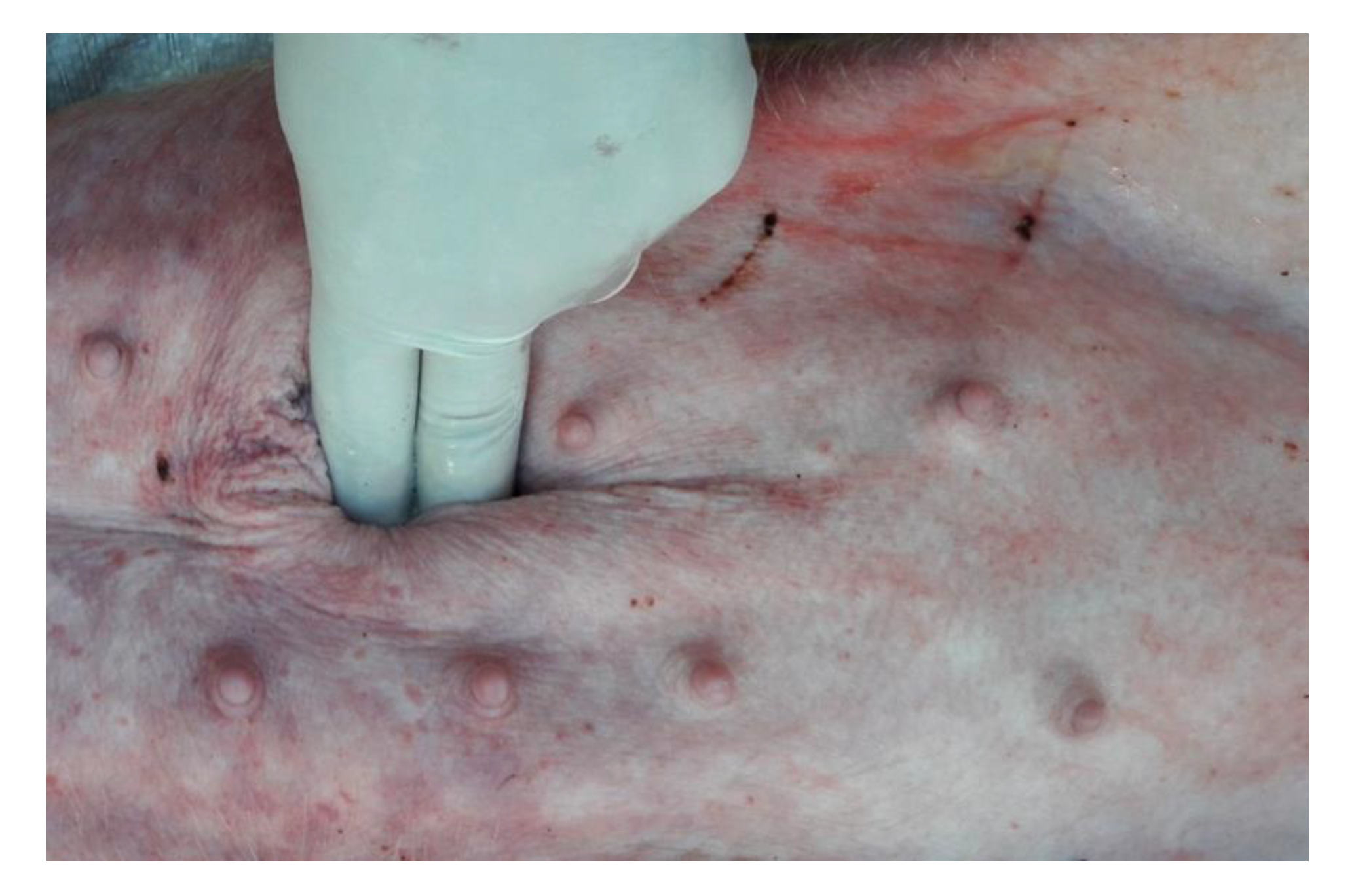 Animals 12 03240 g001 Animals 12 03240 g001