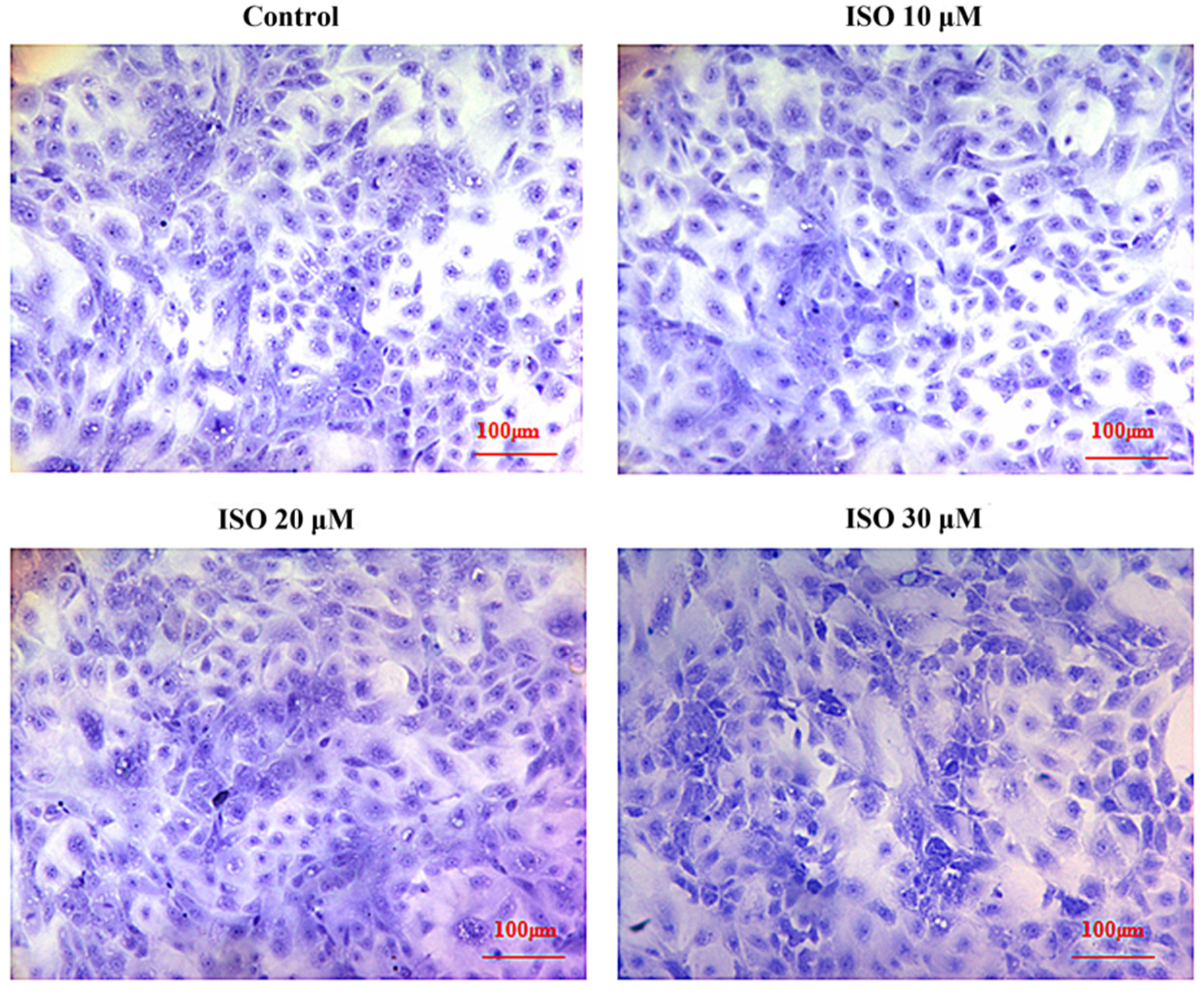 Animals 12 03241 g002