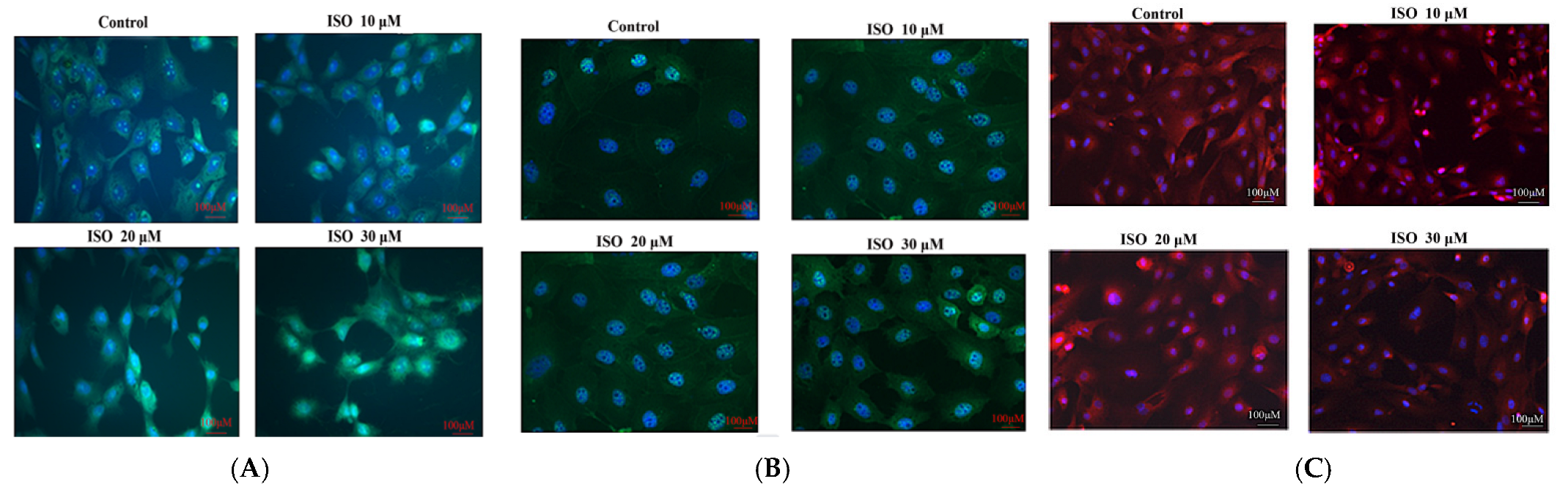 Animals 12 03241 g004