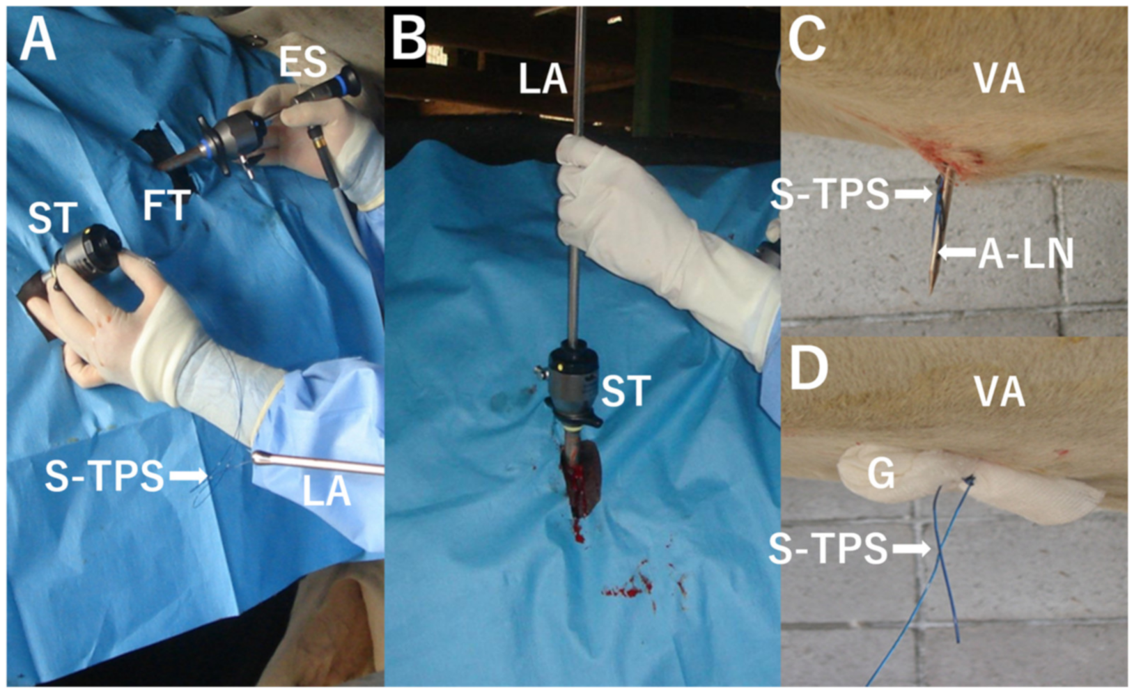 Animals 12 03264 g002