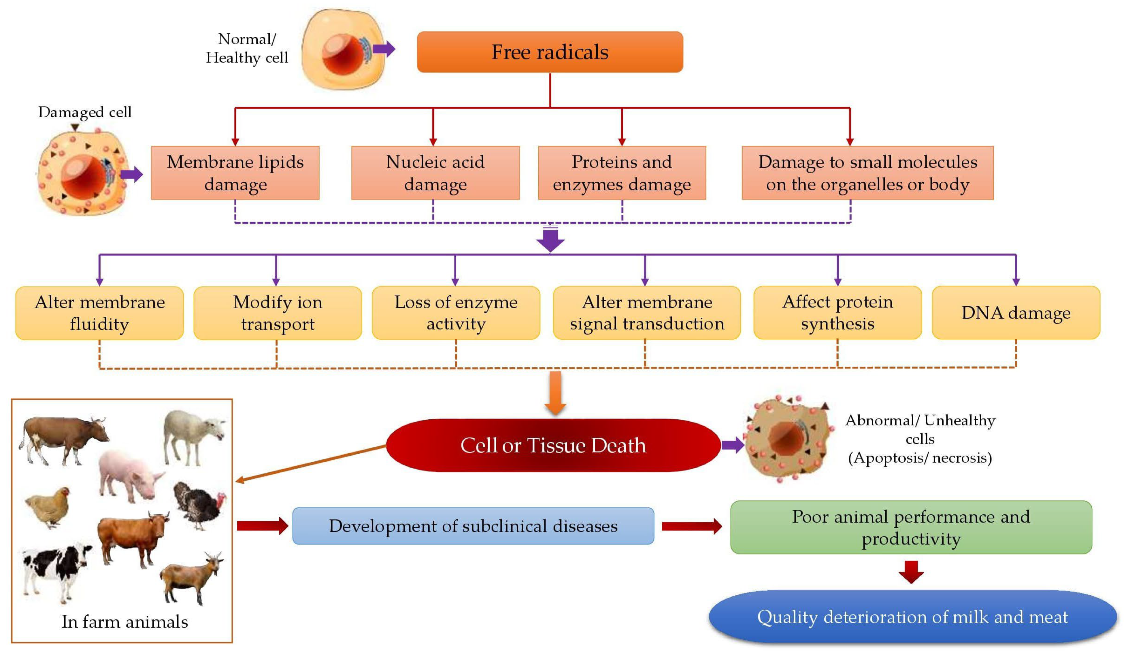 Animals 12 03279 g003