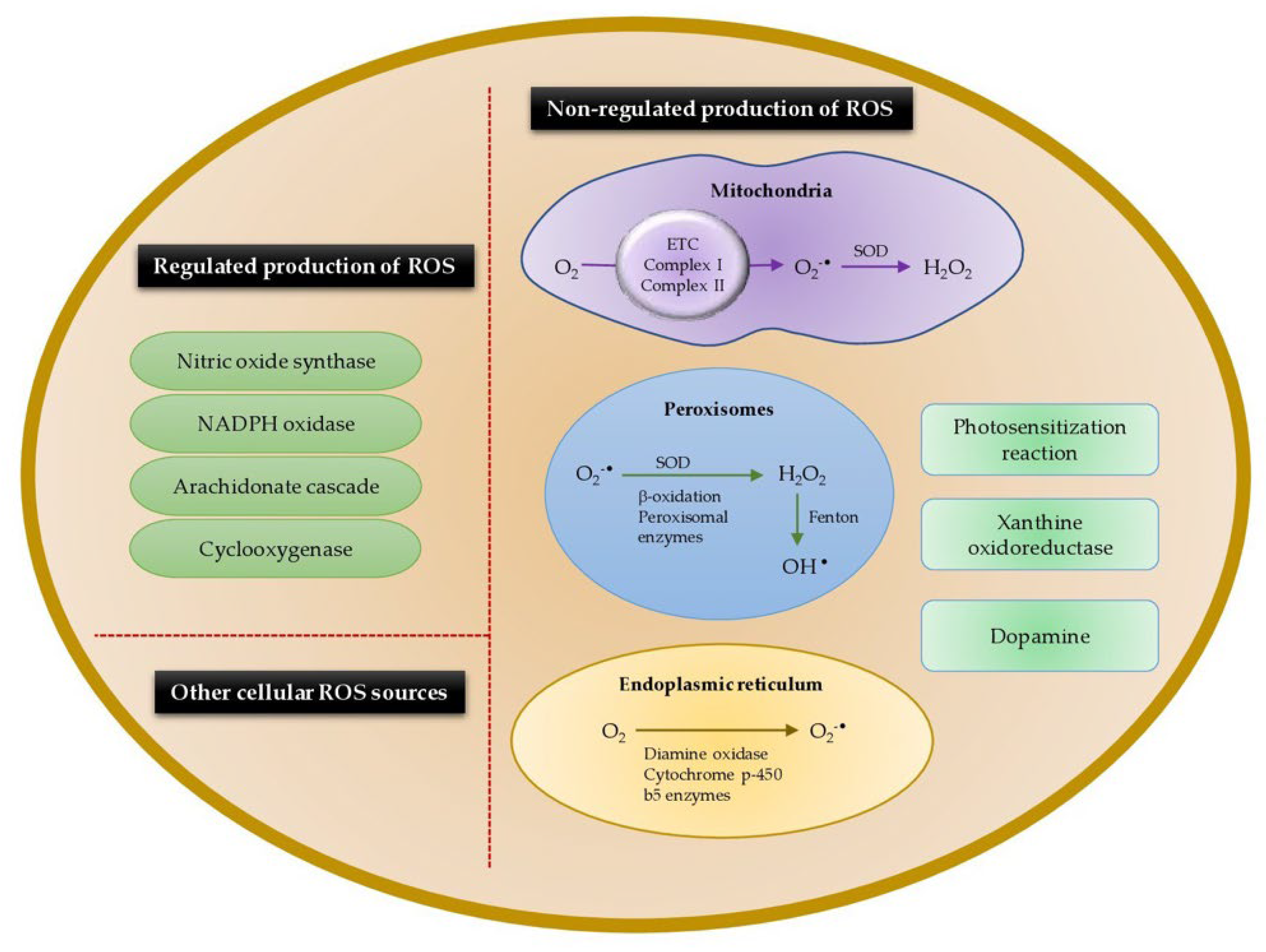 Animals 12 03279 g005