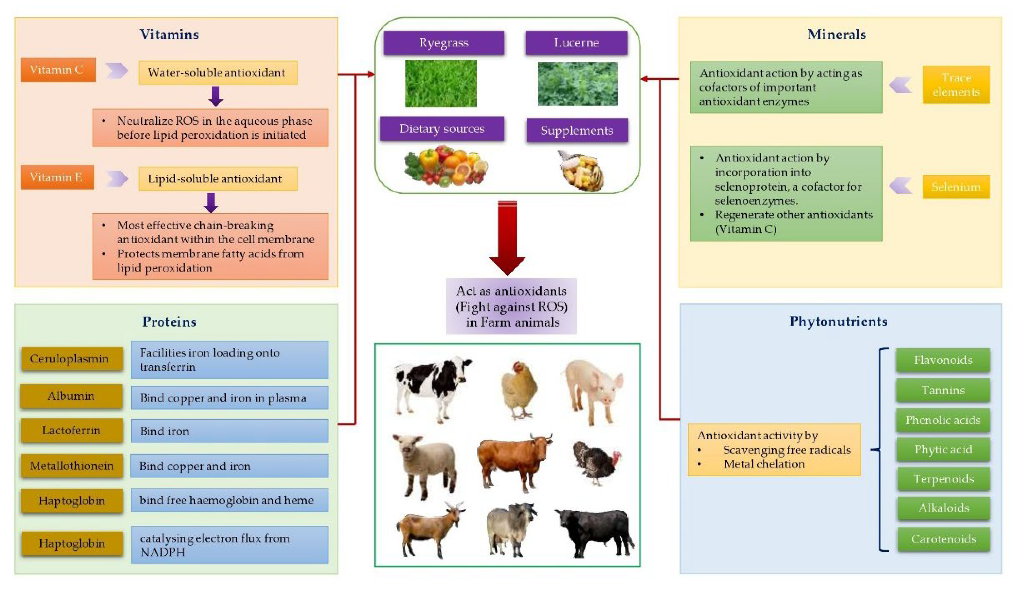 Animals 12 03279 g009