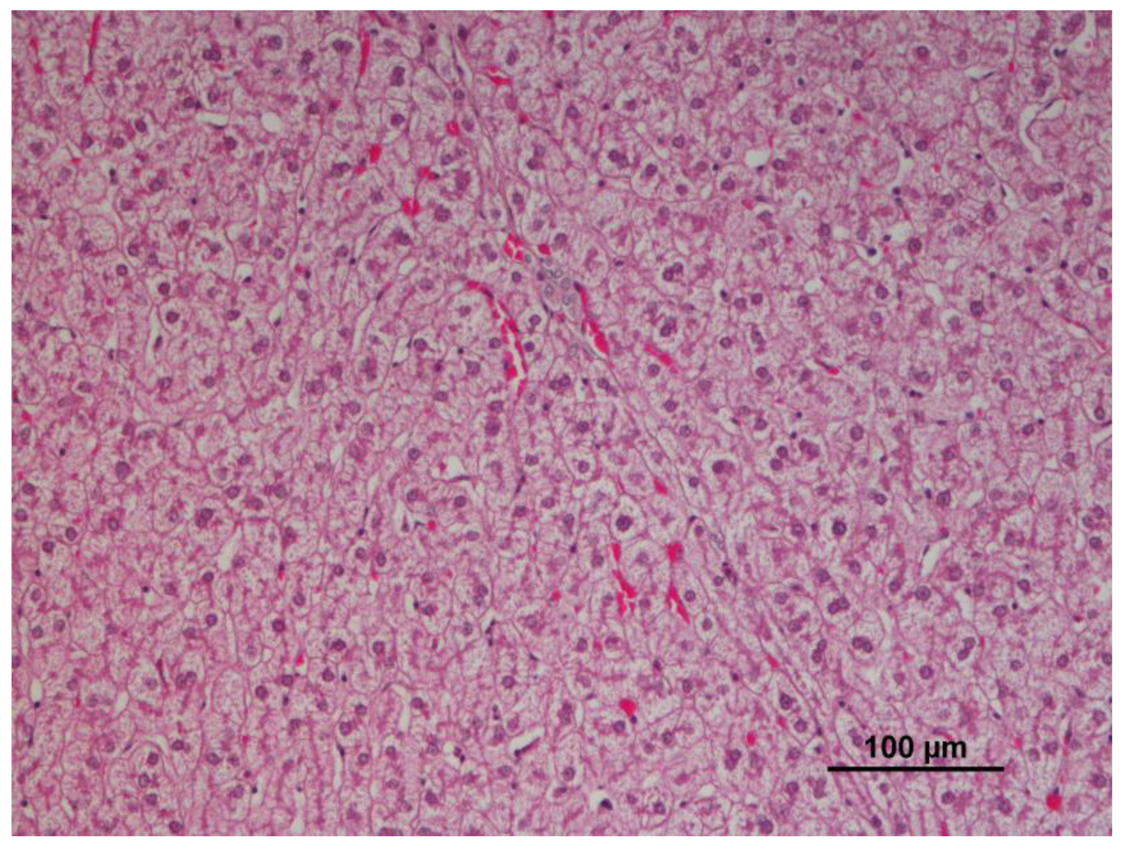 Animals 12 03282 g002