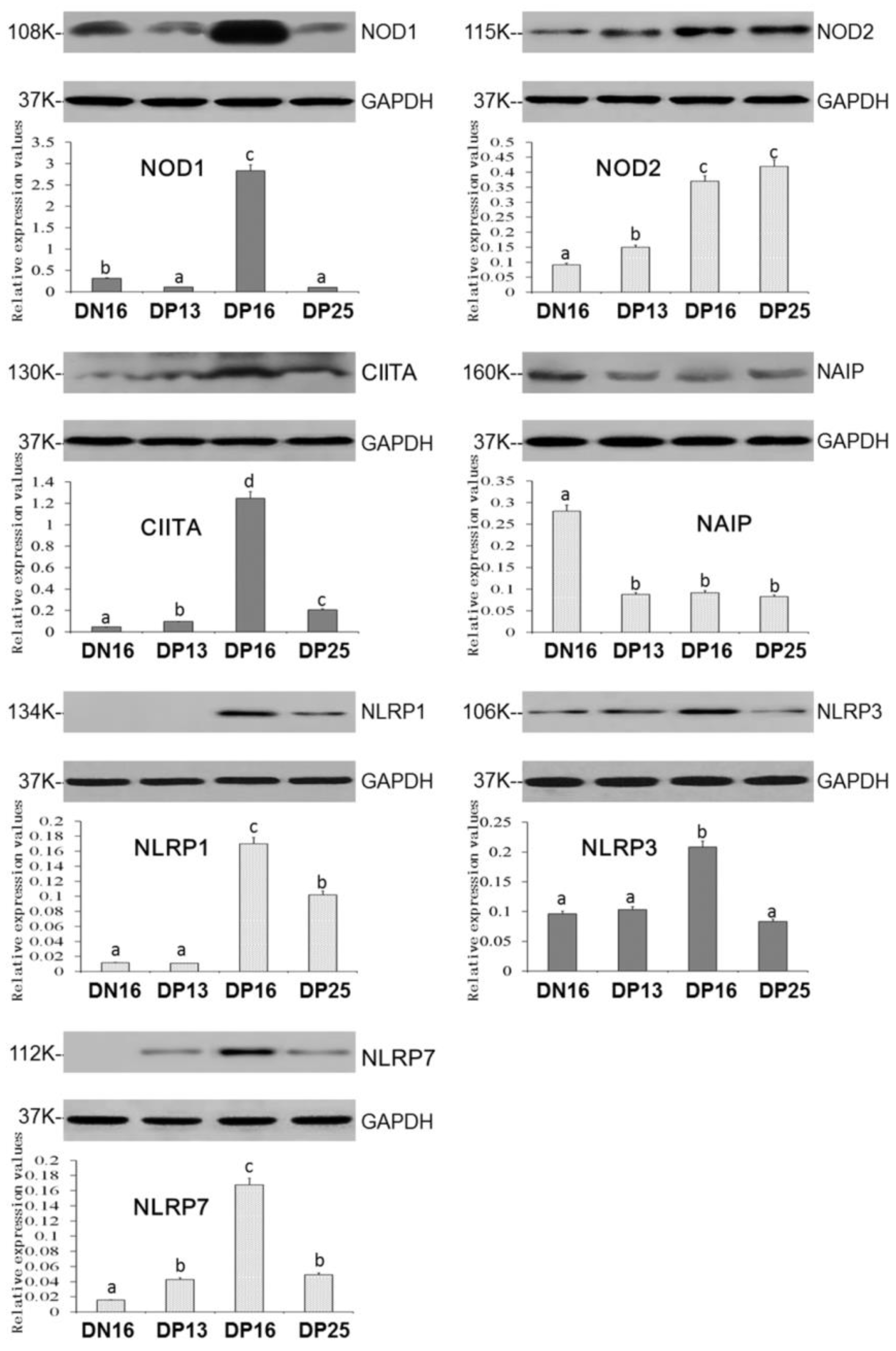 Animals 12 03285 g002