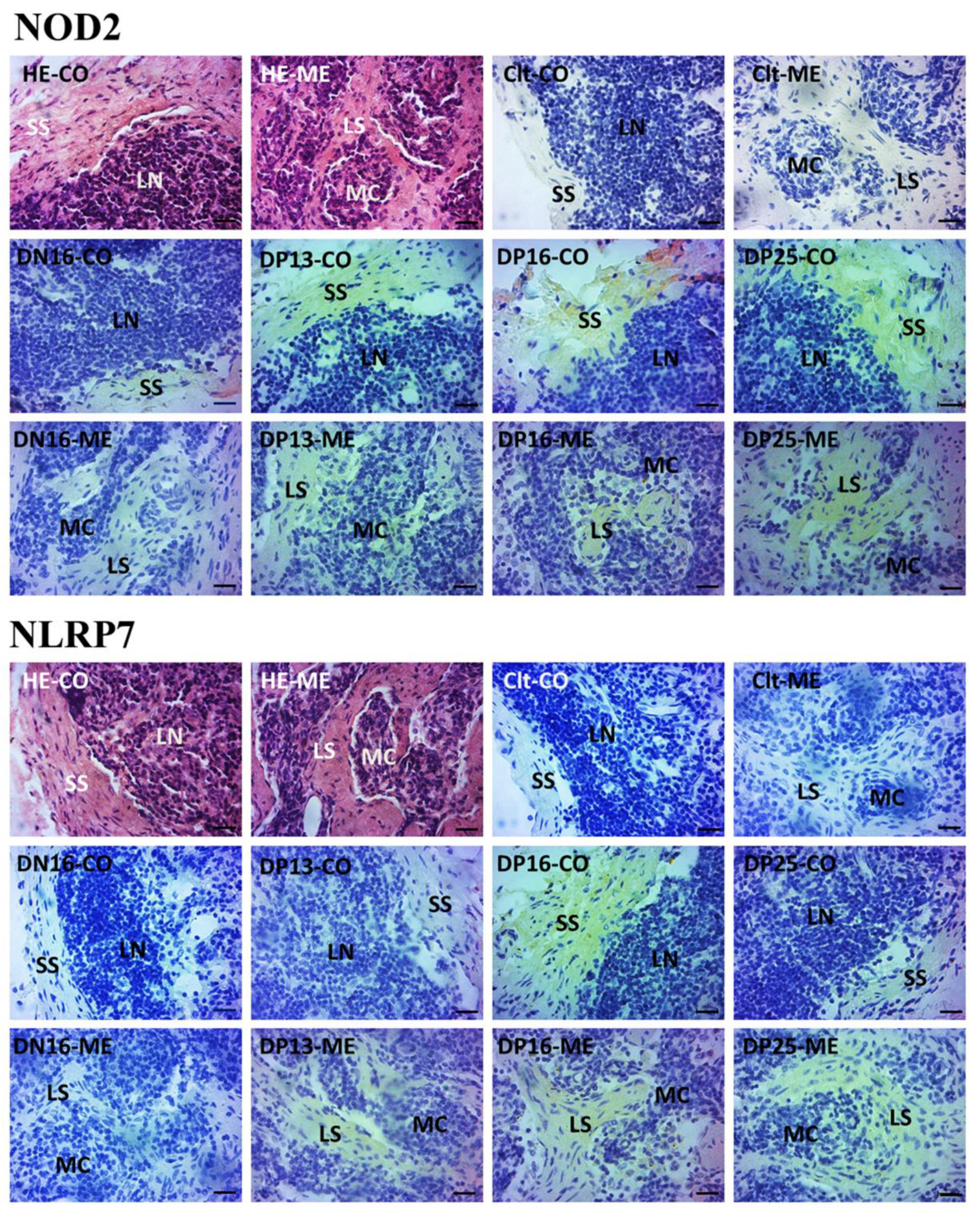 Animals 12 03285 g003