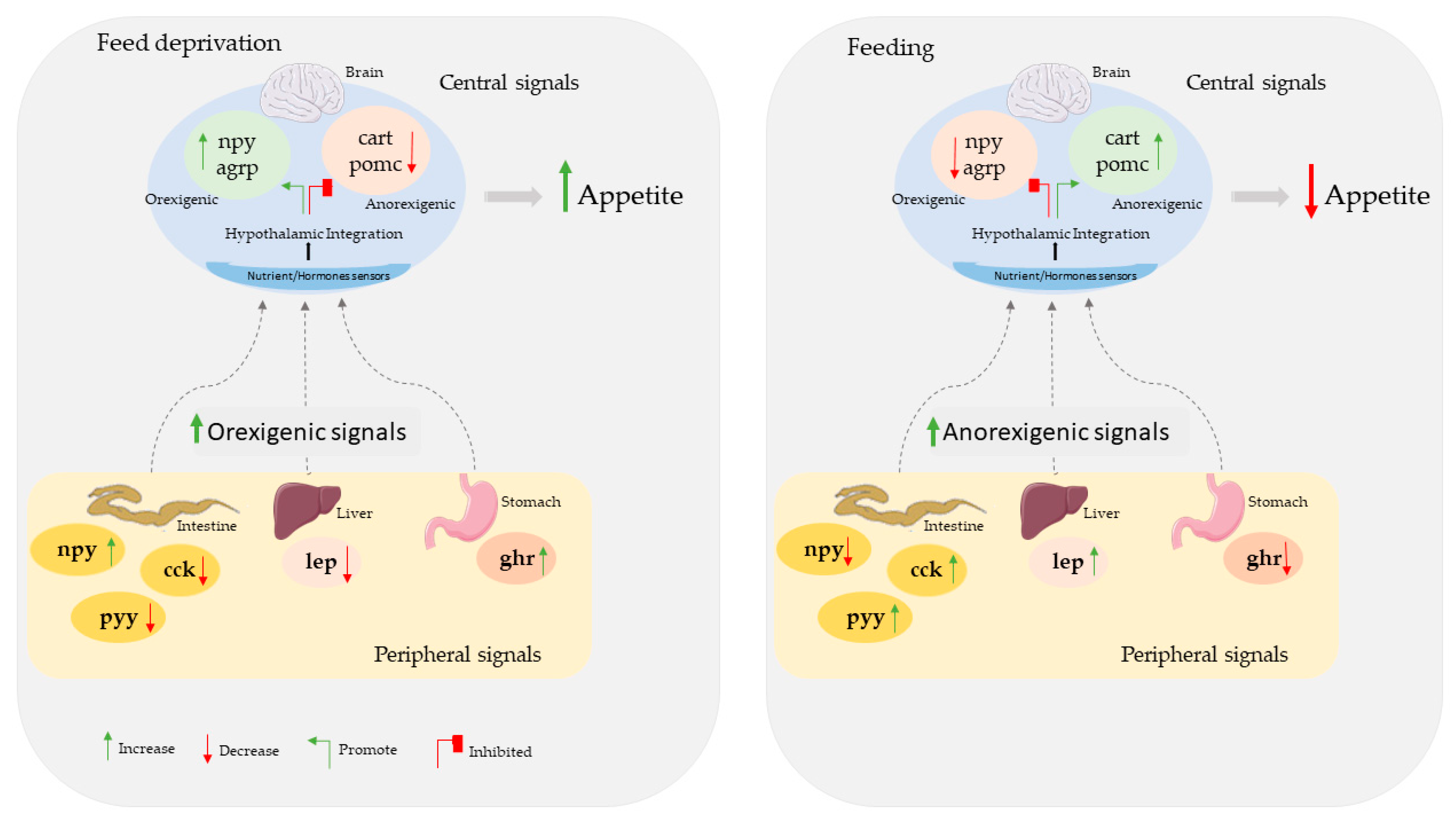 Animals 12 03287 g001