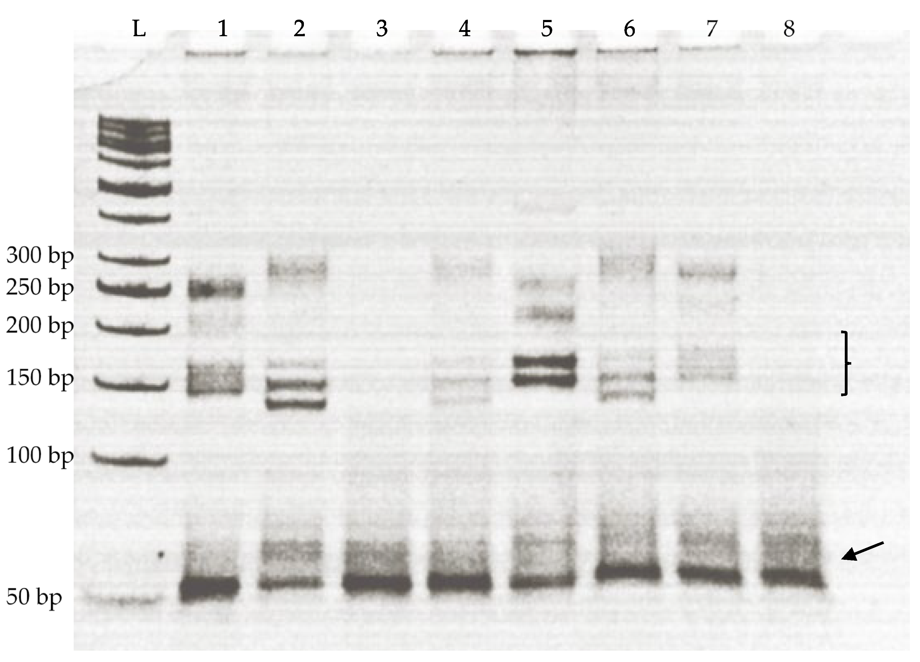 Animals 12 03292 g001