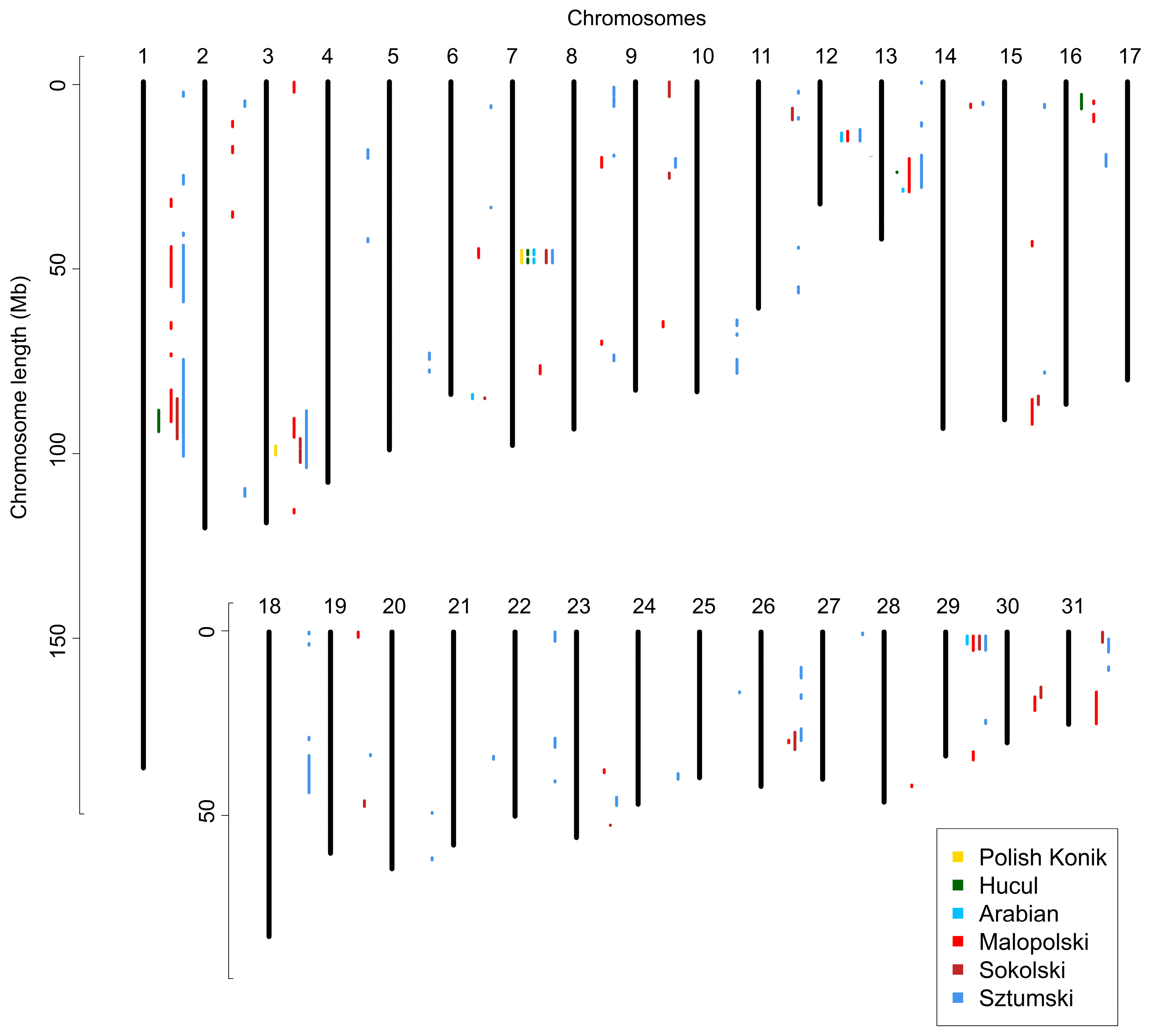 Animals 12 03293 g005