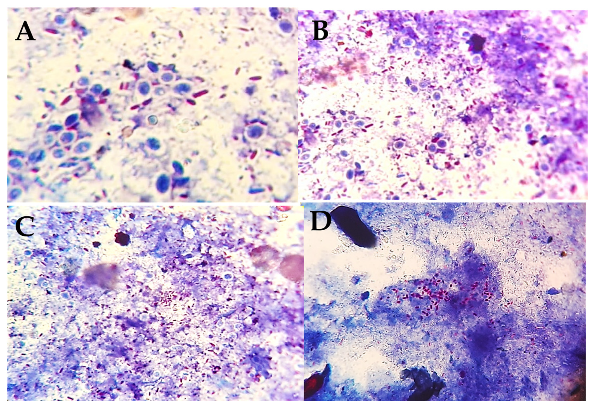 Animals 12 03312 g001