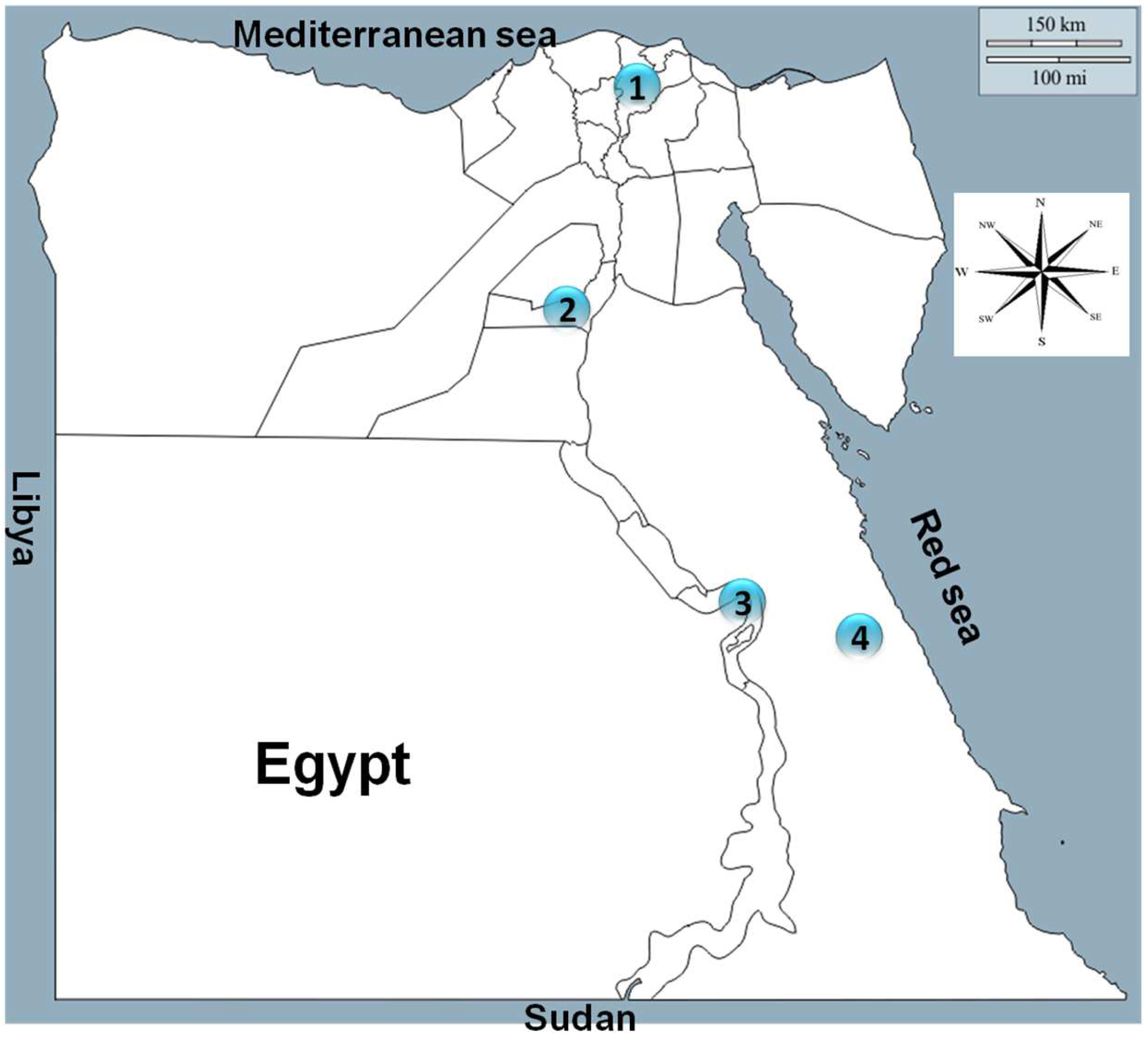 Animals 12 03327 g001