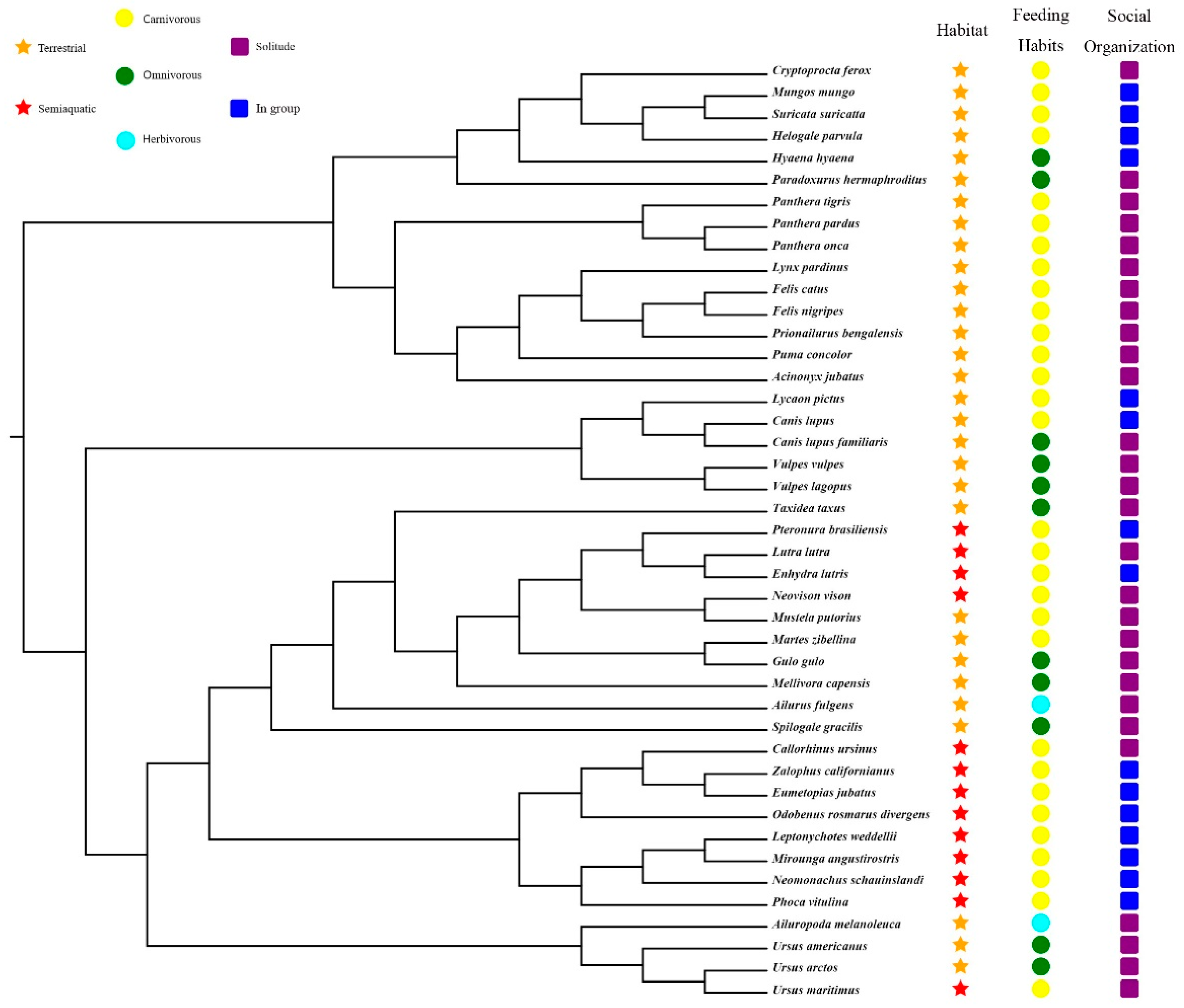 Animals 12 03331 g001