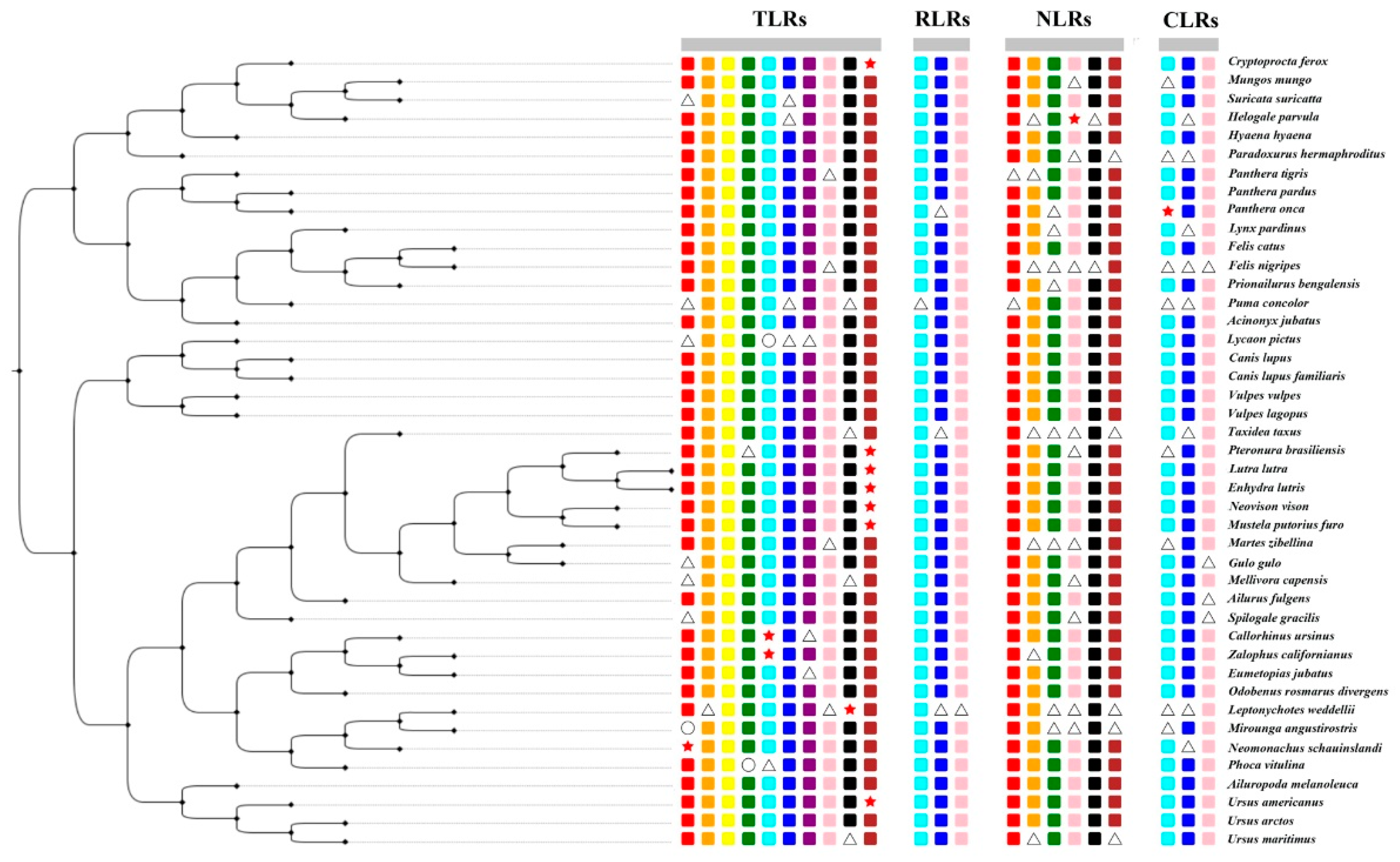 Animals 12 03331 g002