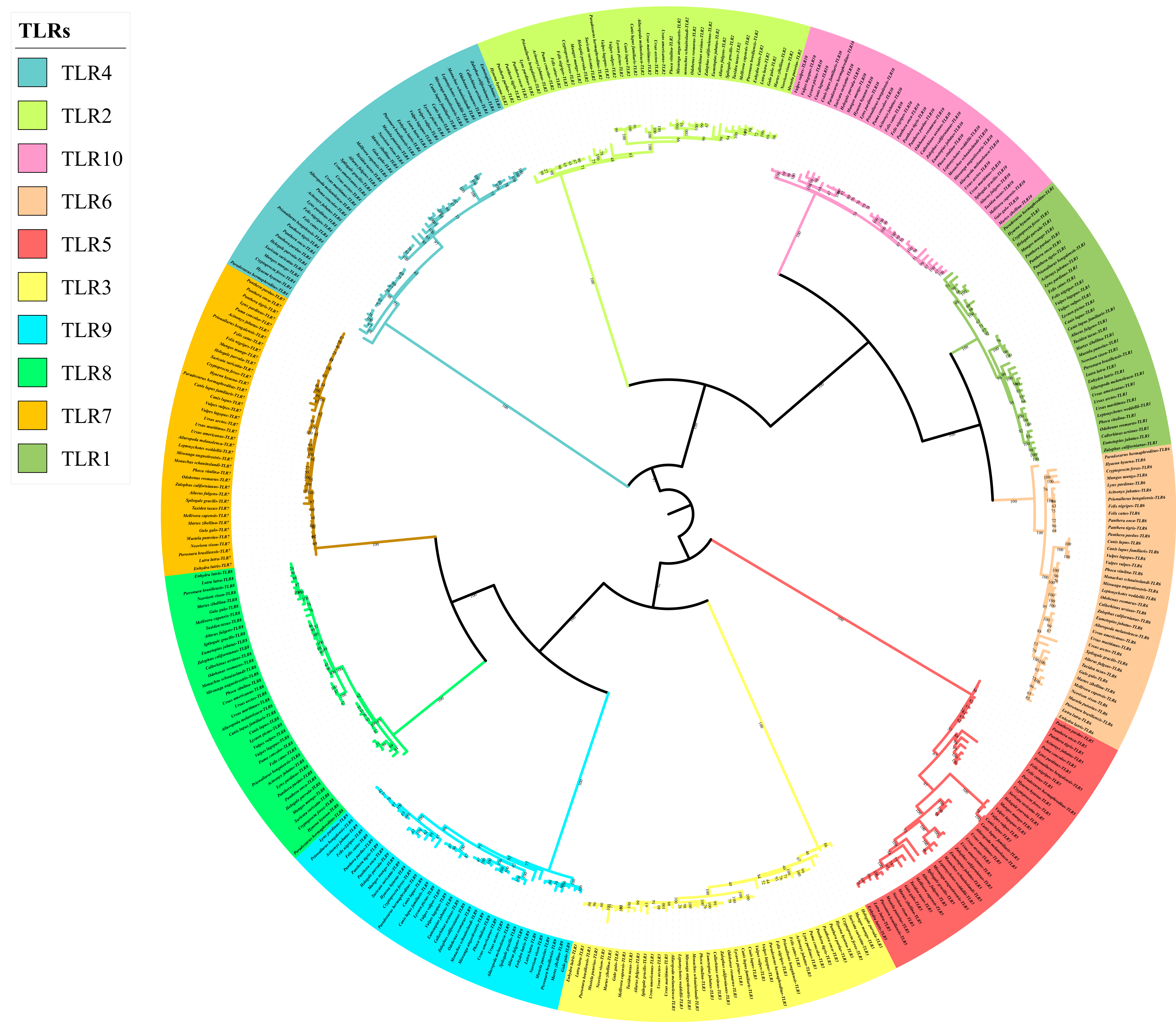Animals 12 03331 g003