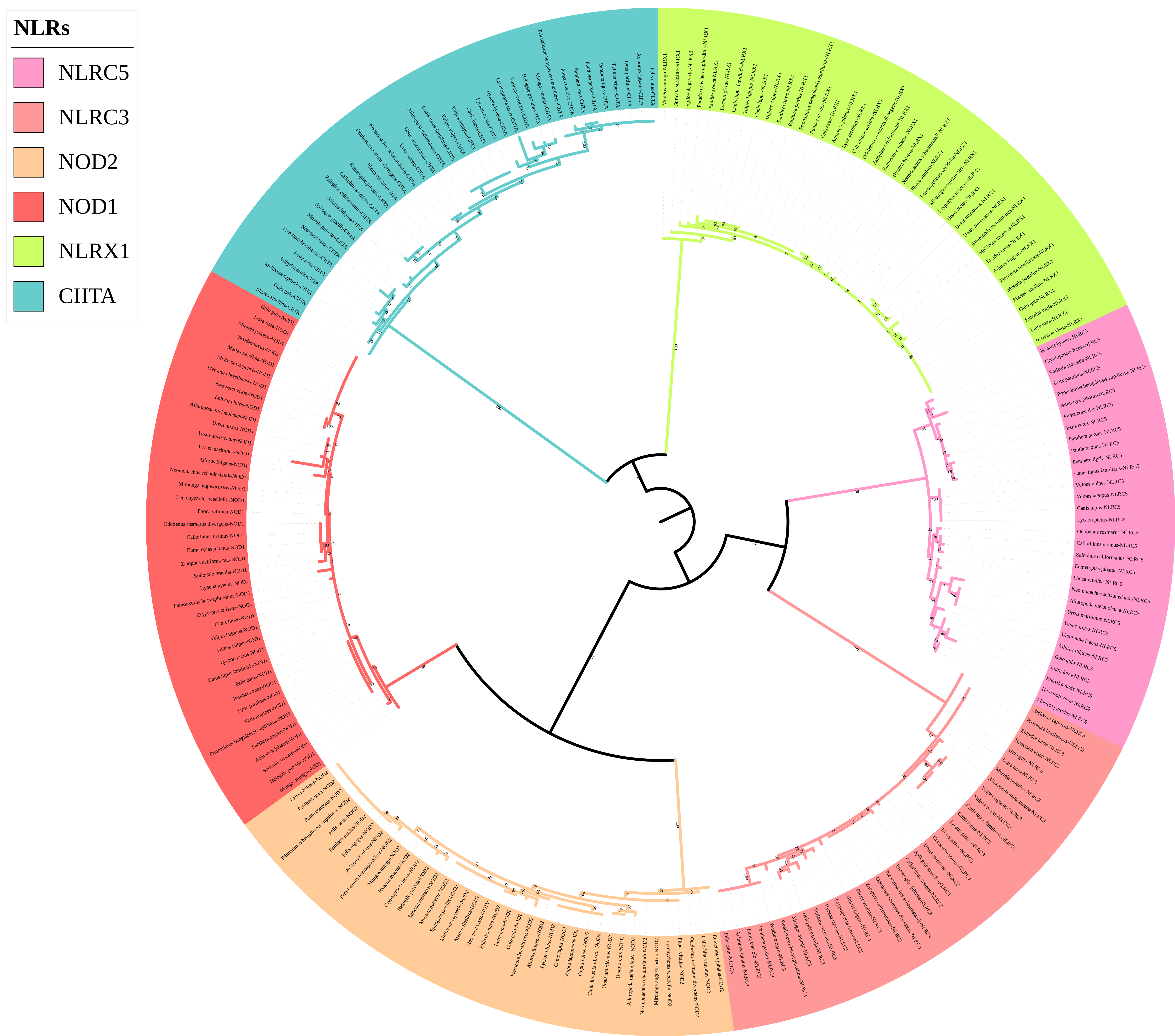 Animals 12 03331 g004
