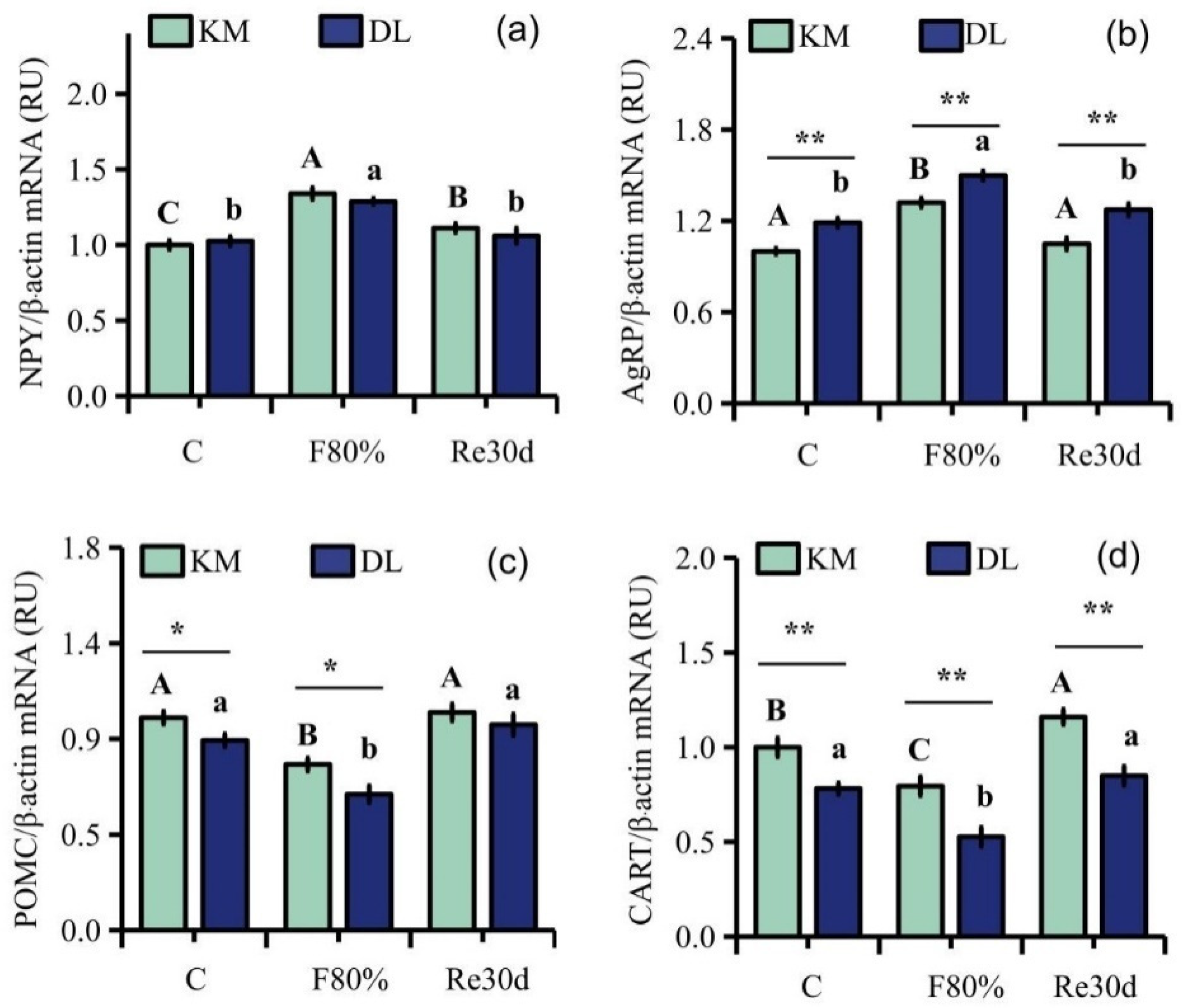 Animals 12 03333 g002