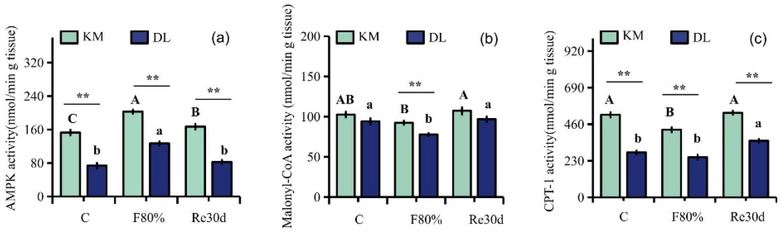Animals 12 03333 g004