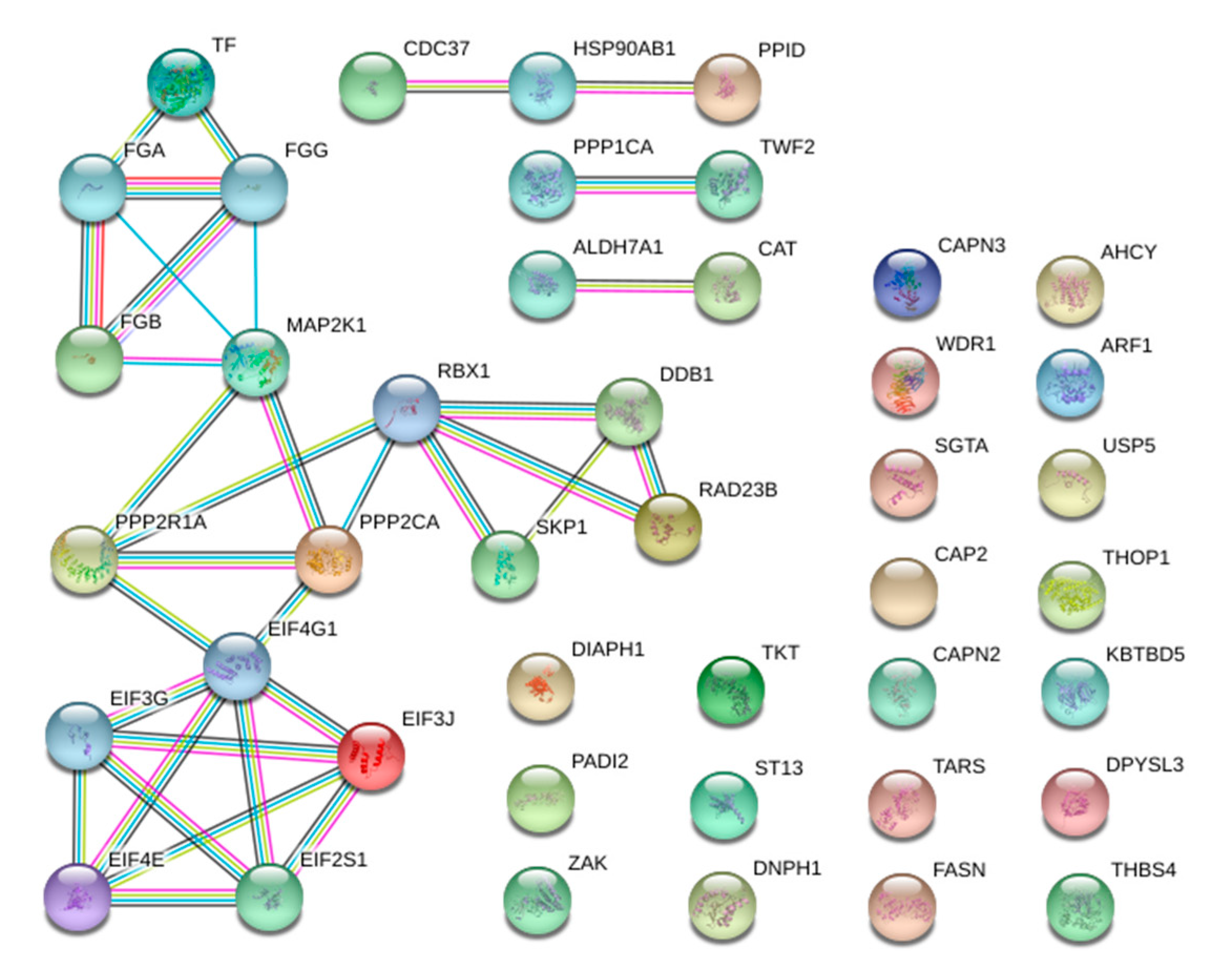 Animals 12 03336 g002