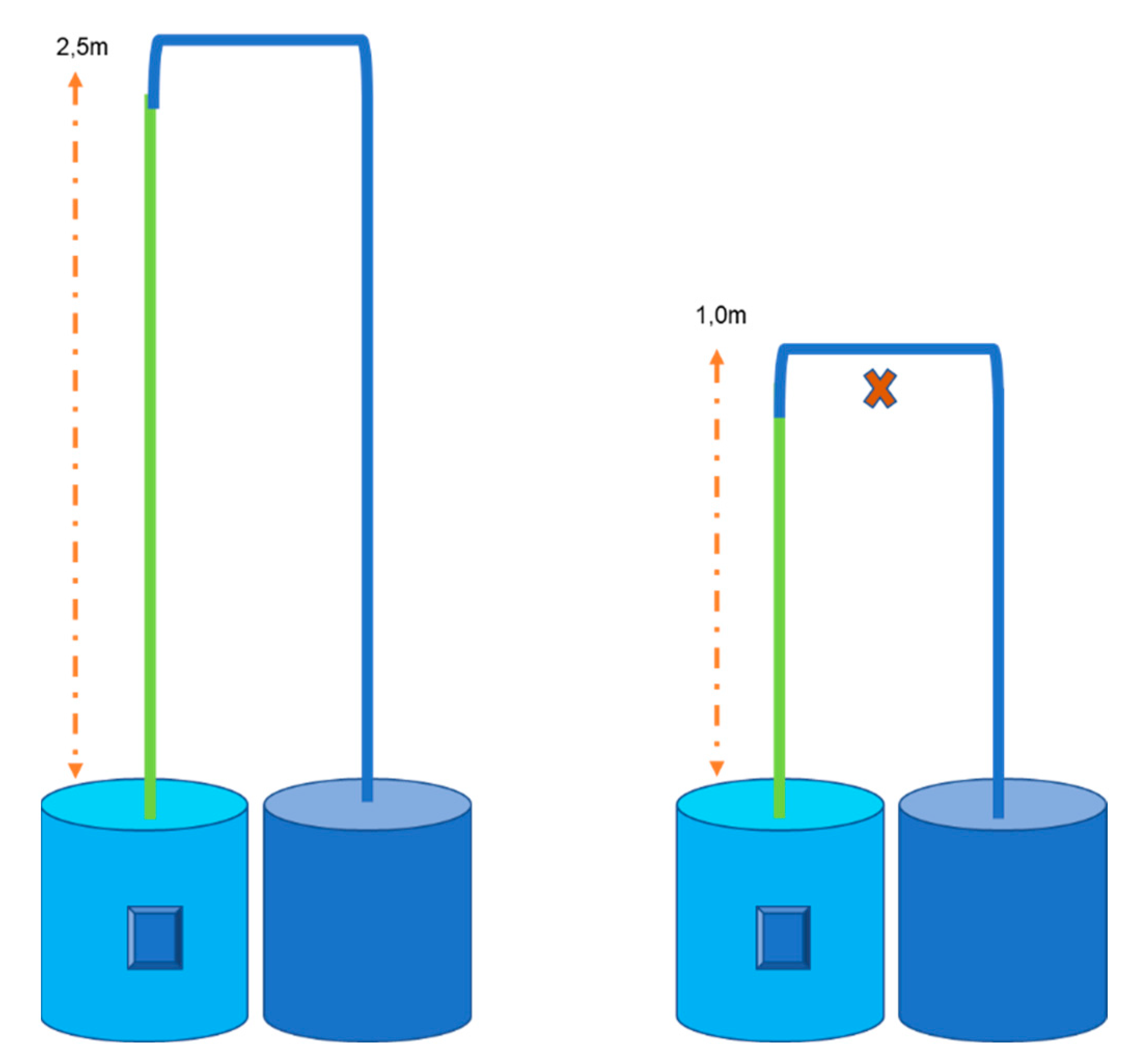 Animals 12 03348 g002