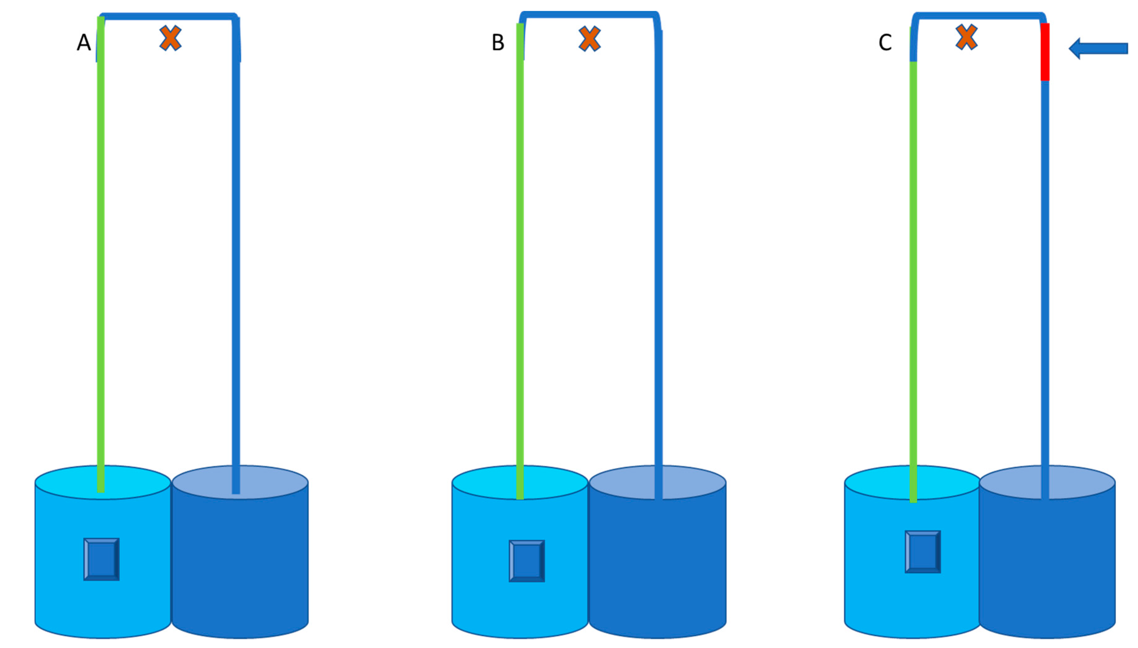 Animals 12 03348 g003