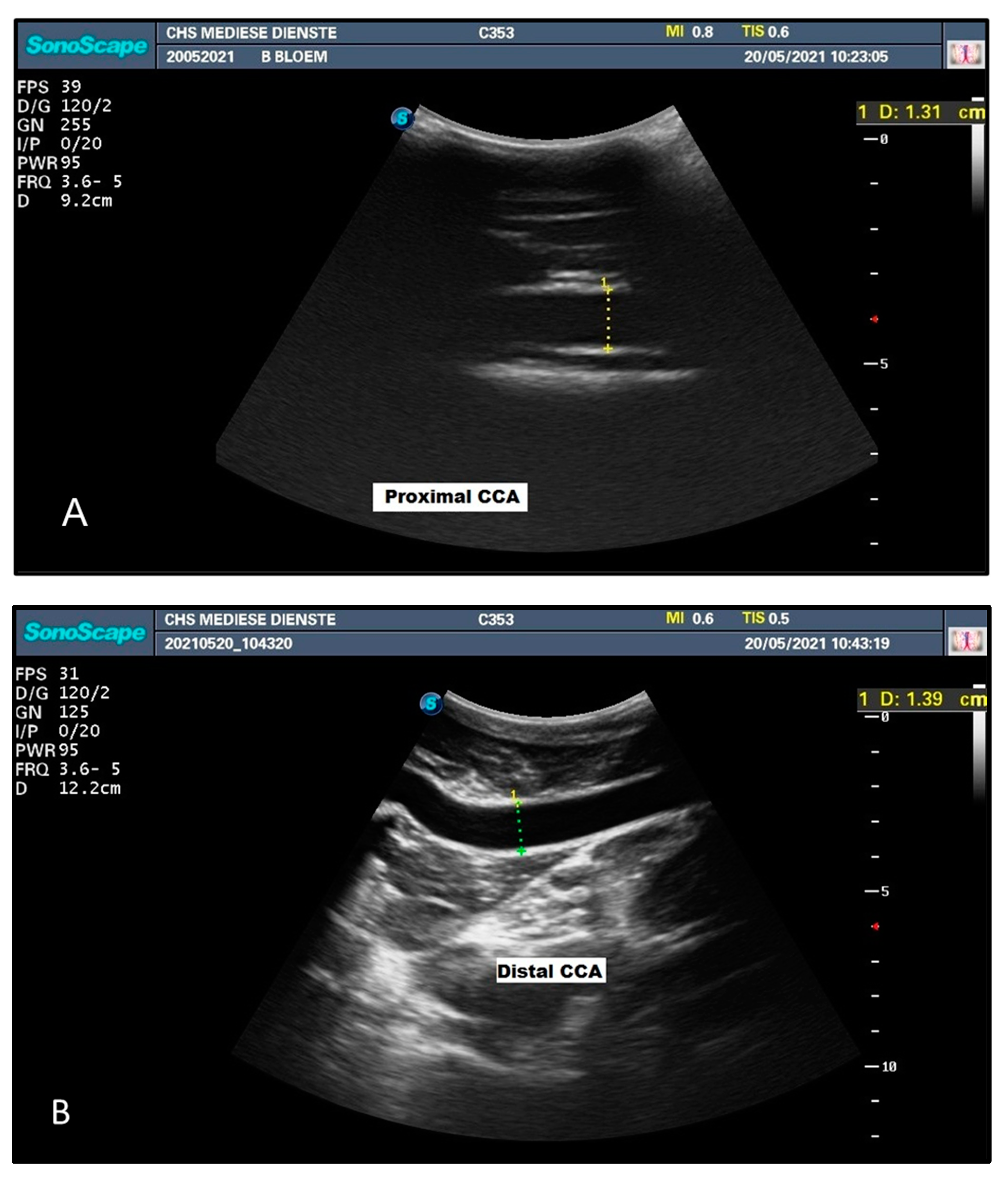 Animals 12 03348 g004a