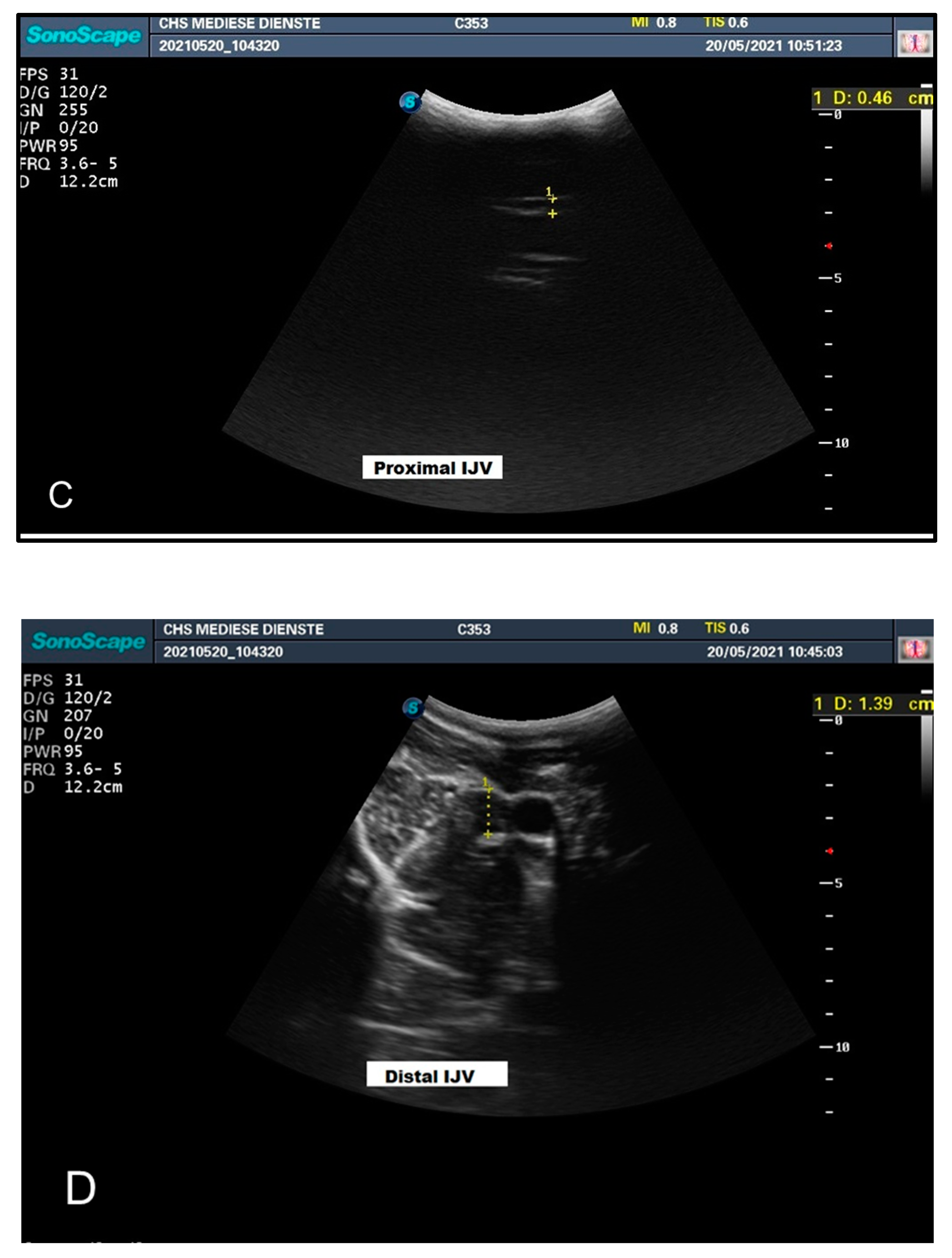 Animals 12 03348 g004b