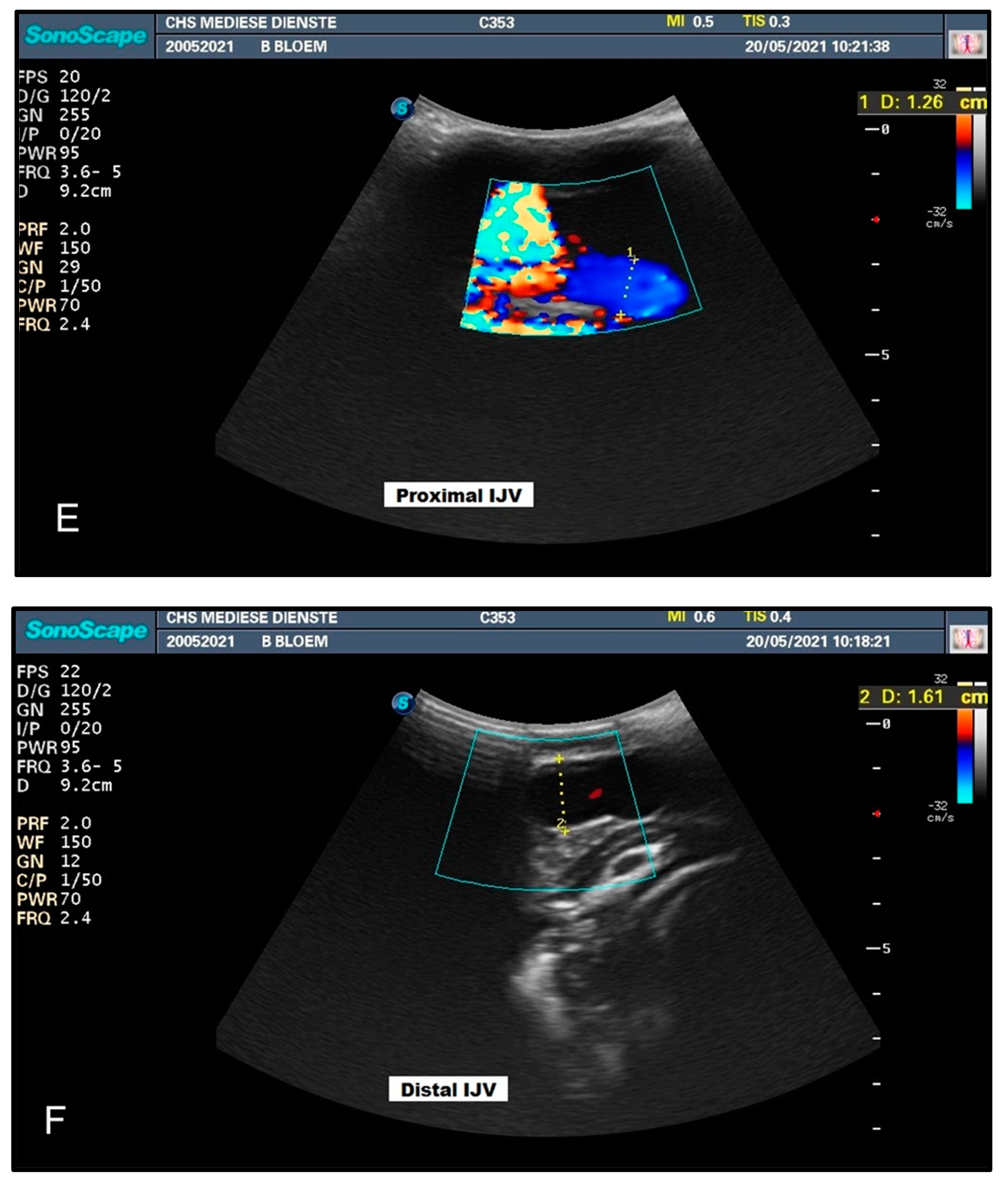 Animals 12 03348 g004c