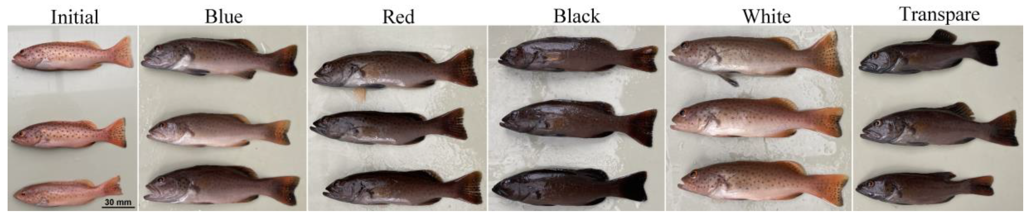 Animals 12 03349 g001