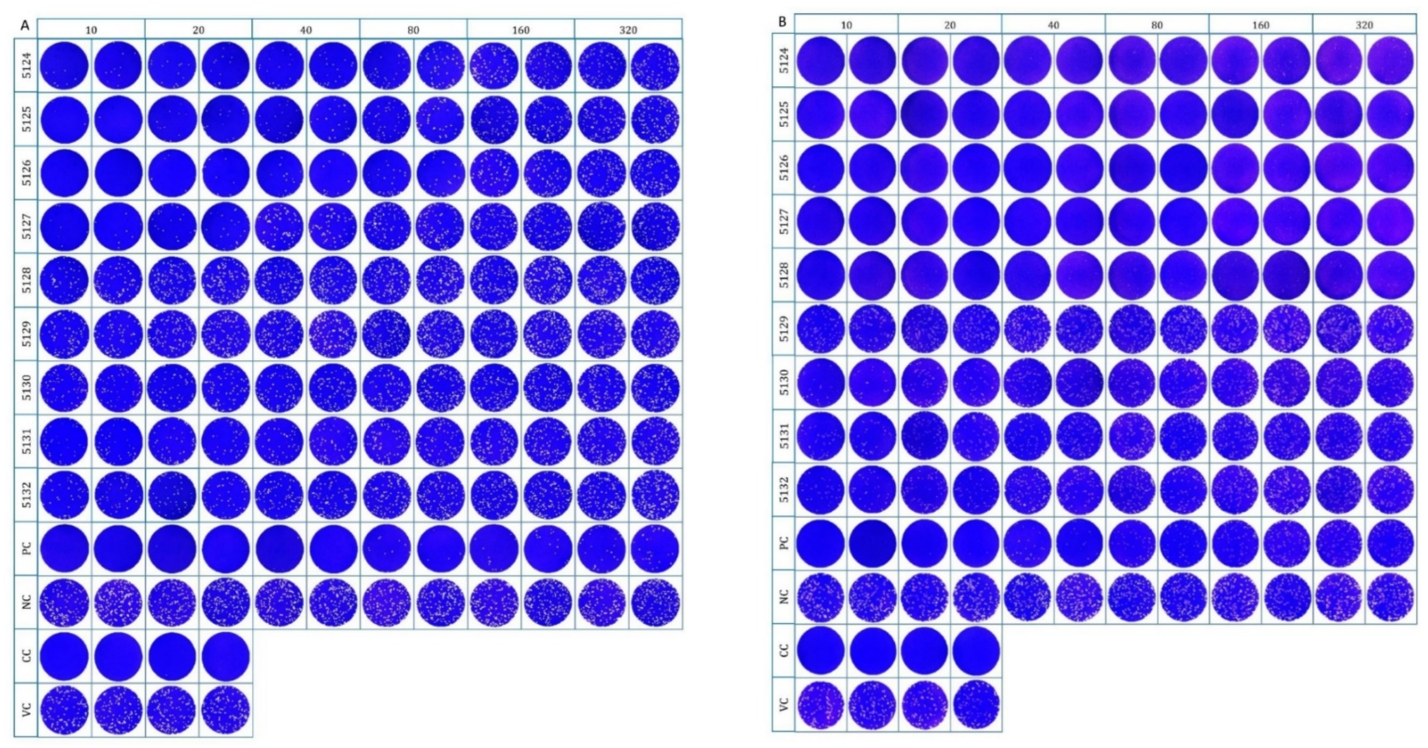 Animals 12 03350 g001