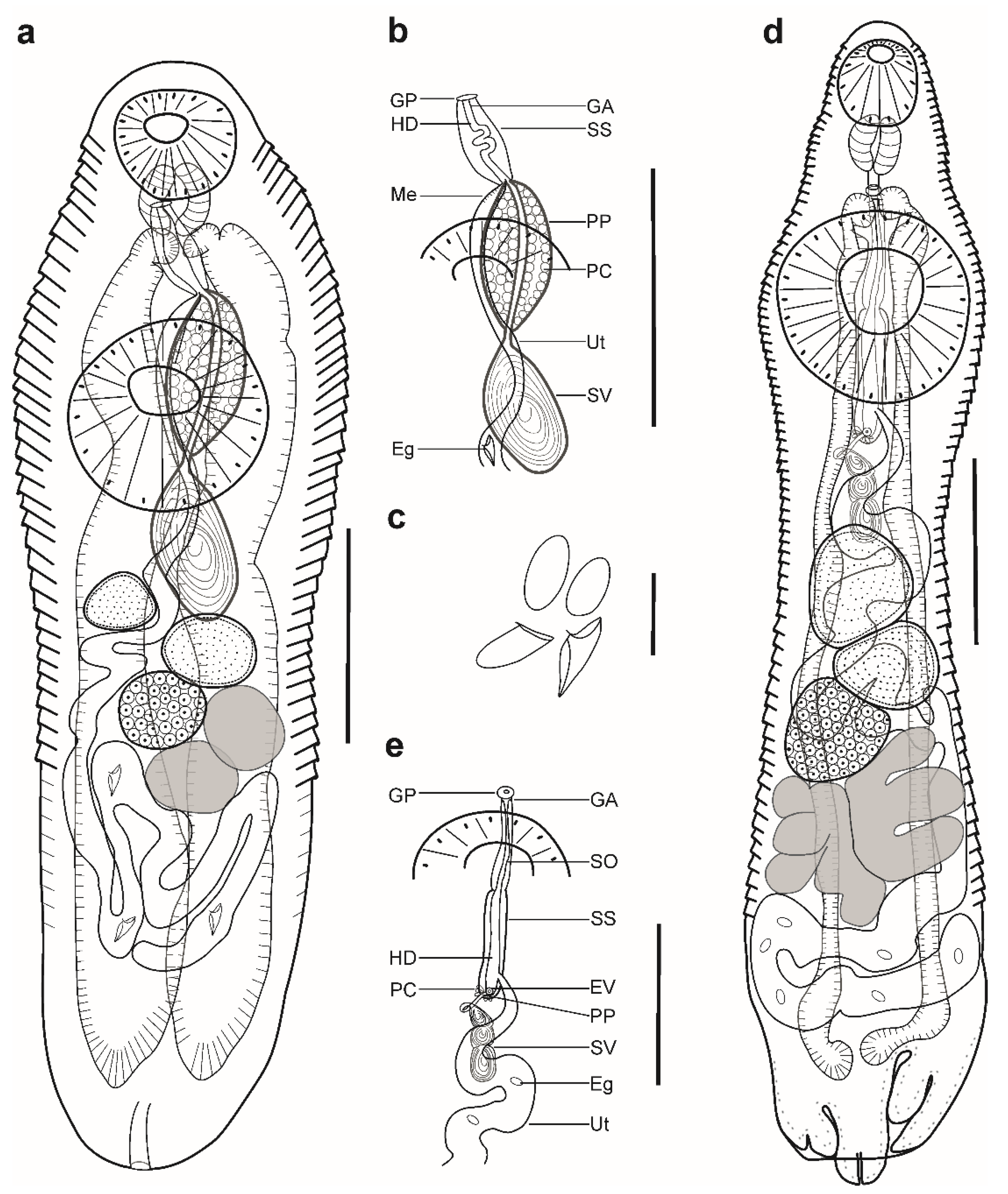 Animals 12 03355 g001