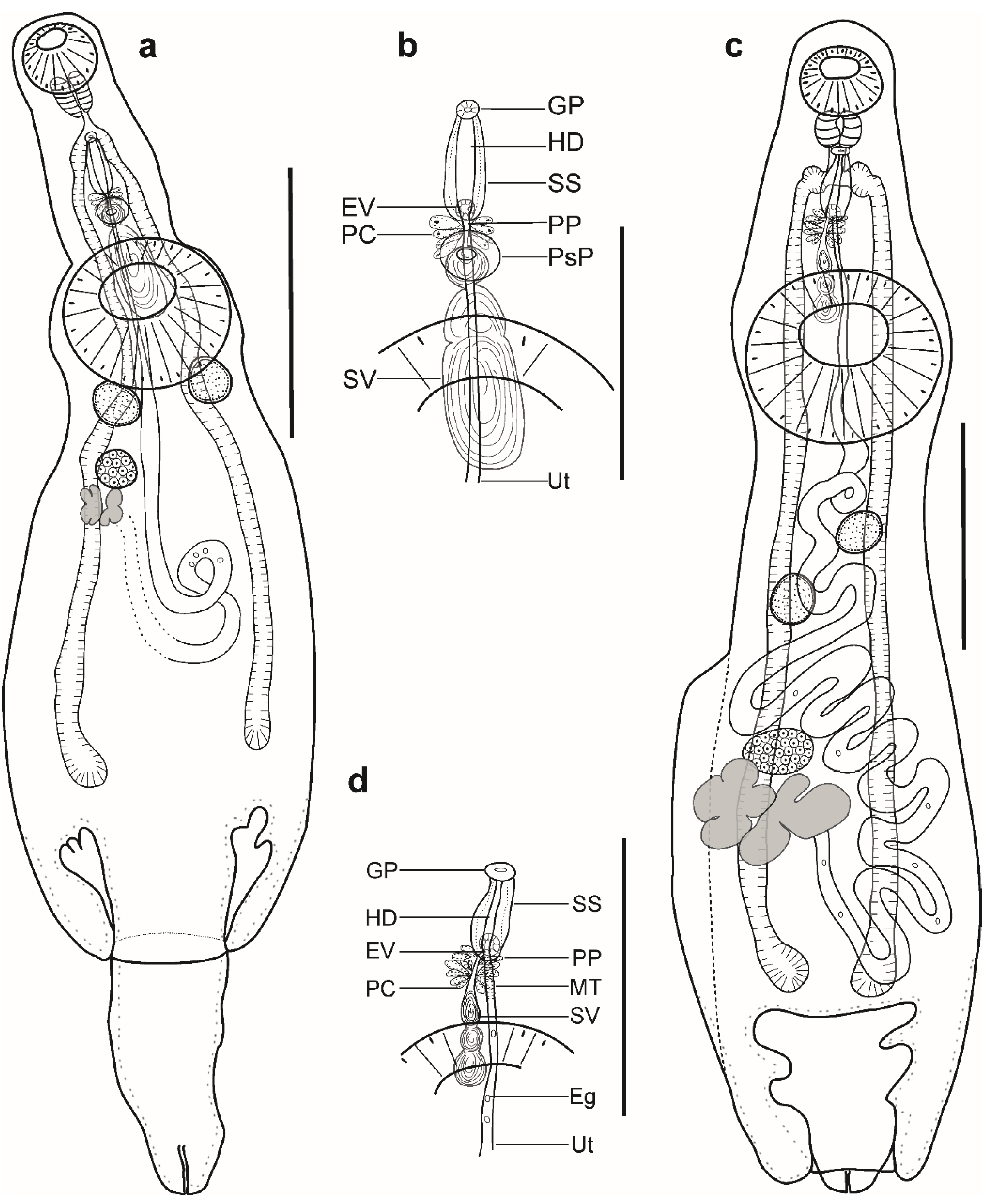 Animals 12 03355 g003