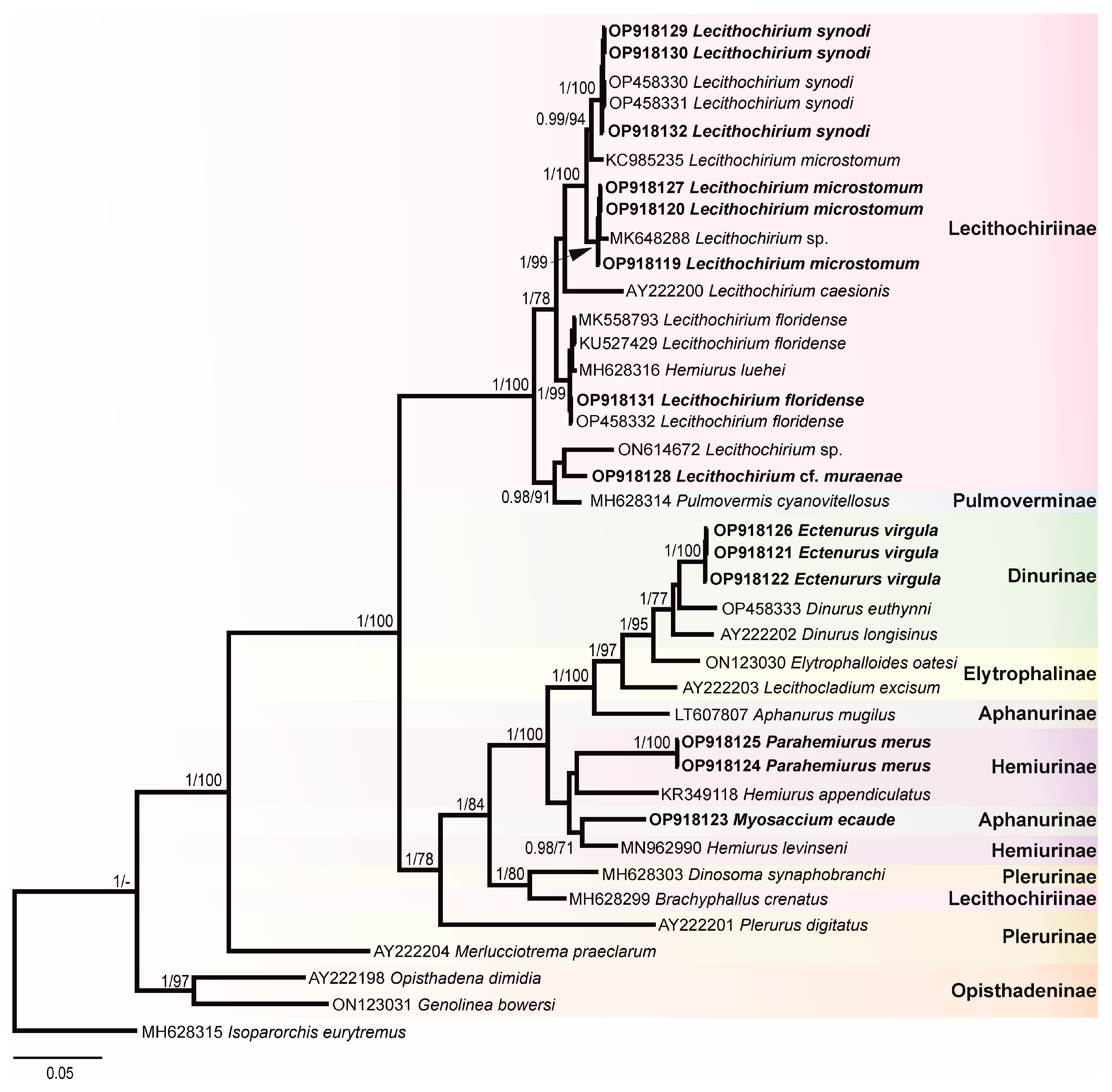 Animals 12 03355 g004