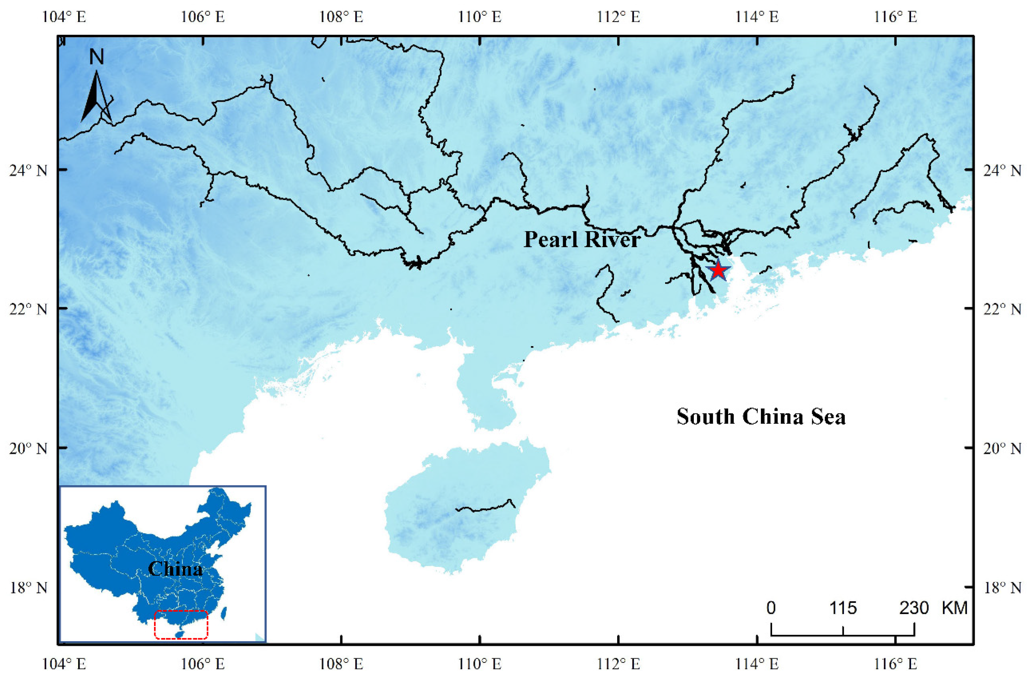 Animals 12 03380 g001