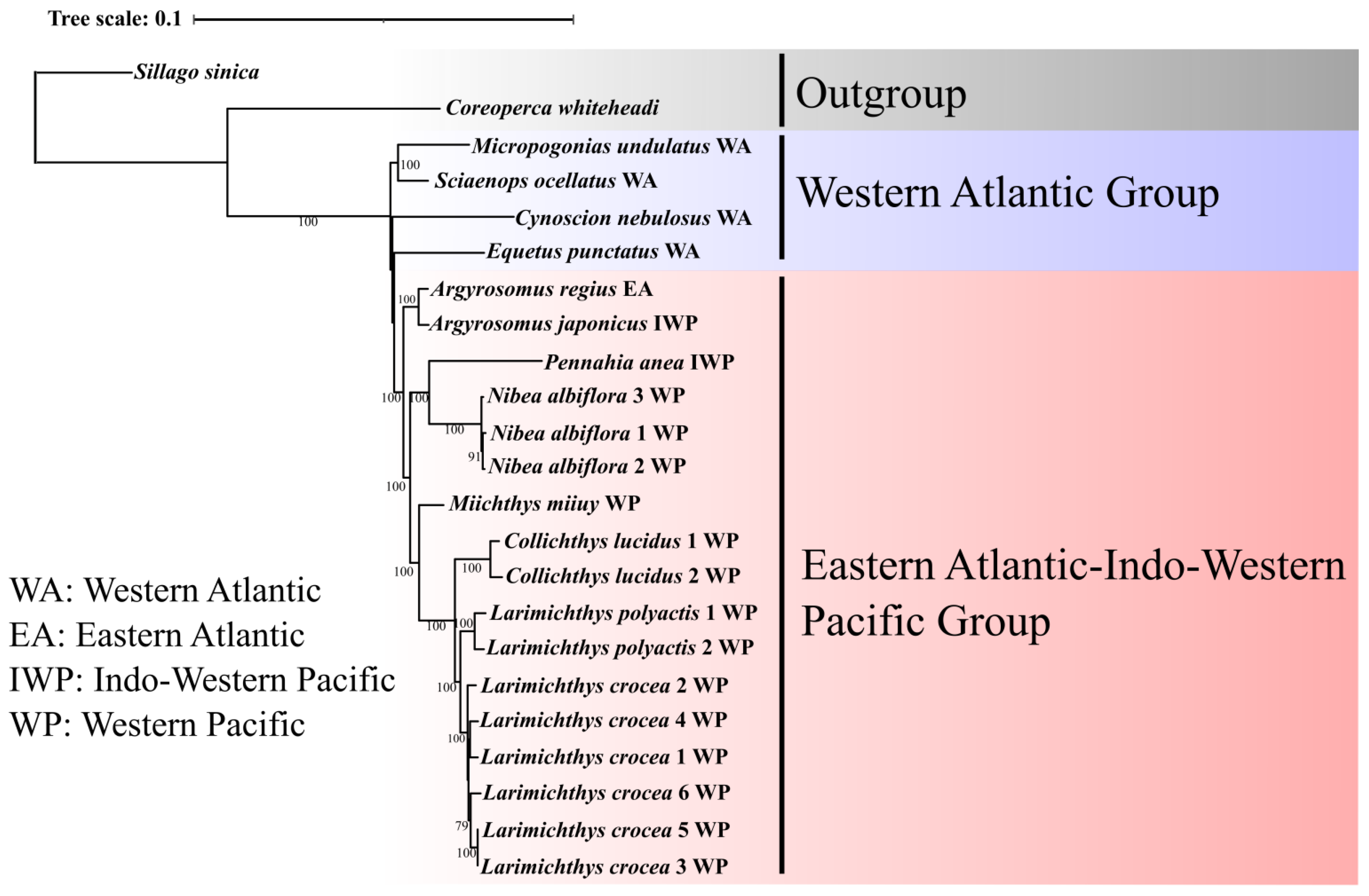 Animals 12 03386 g001